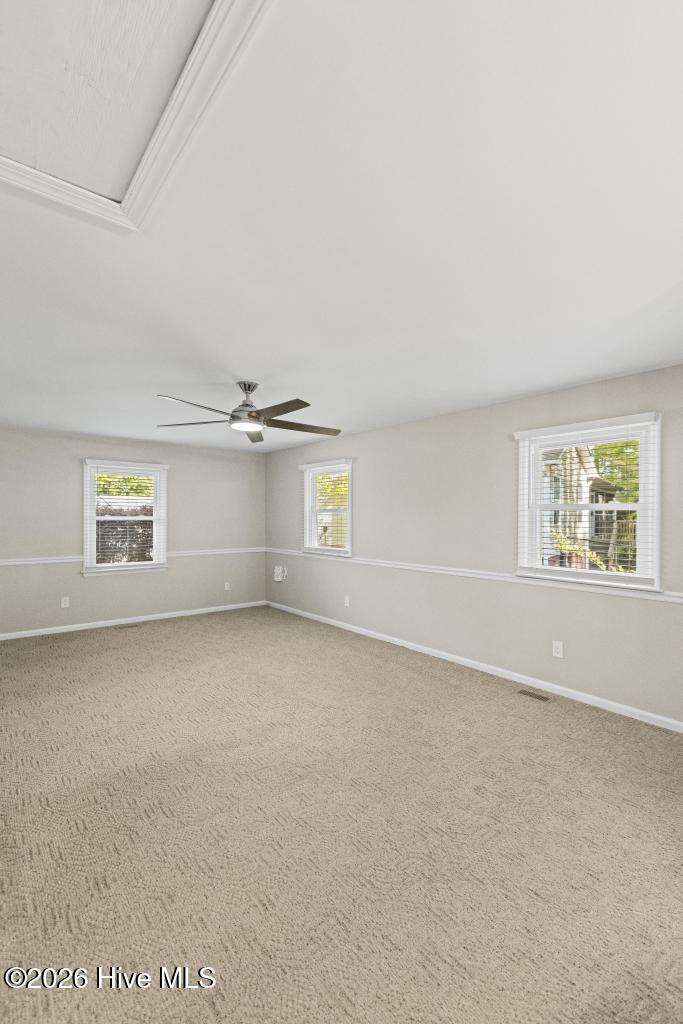 100570465 | Photo 30