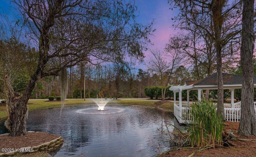 100488522 | Photo 17