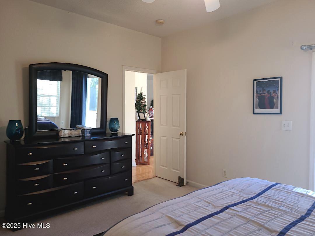 100545886 | Photo 19