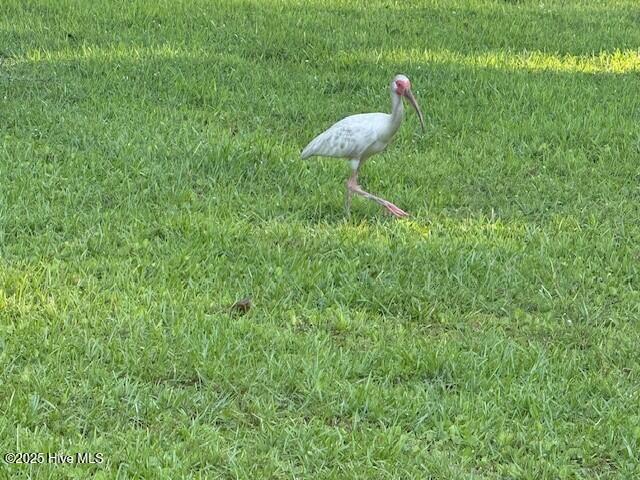 100538166 | Photo 52