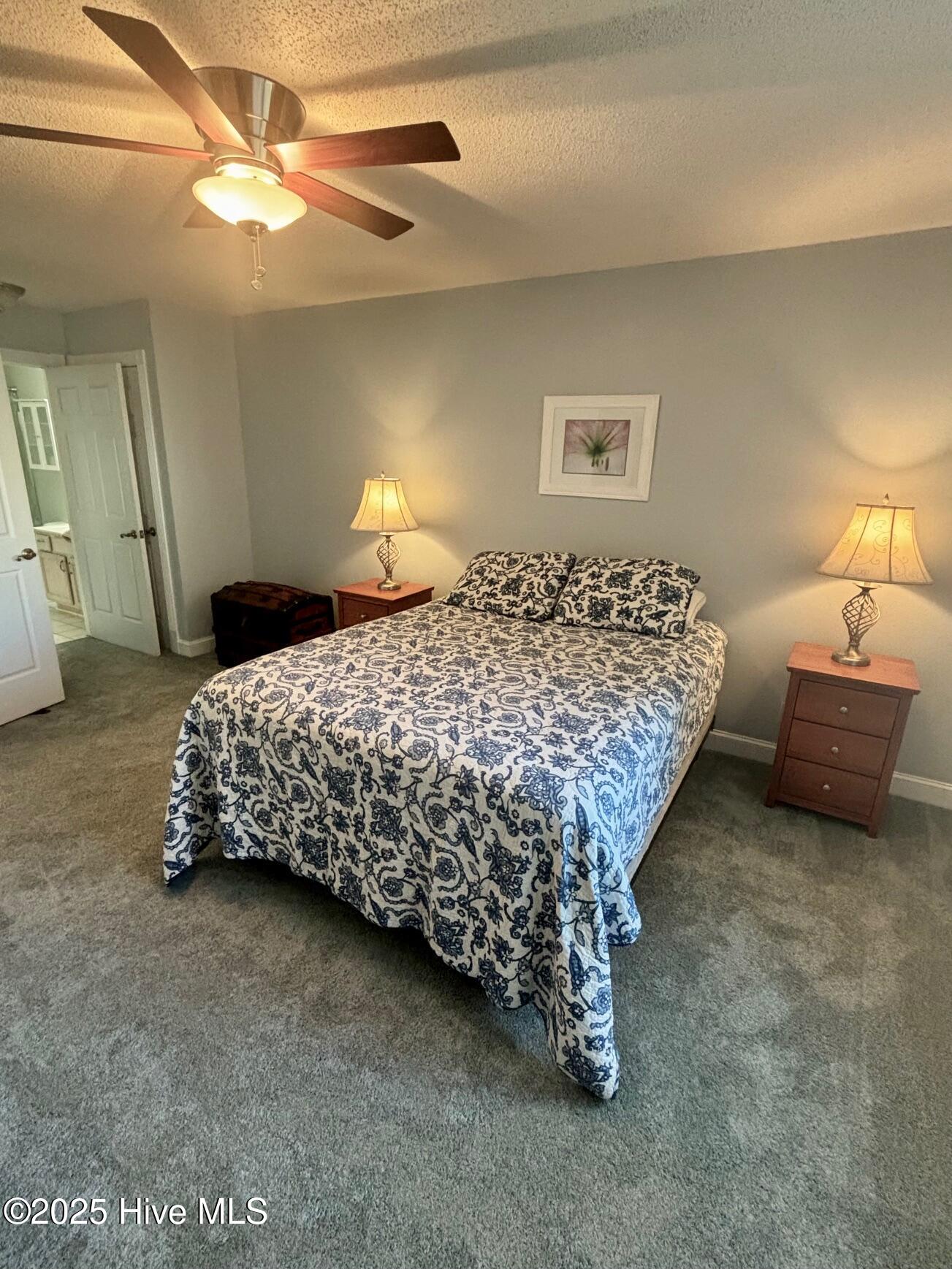 100543239 | Photo 10