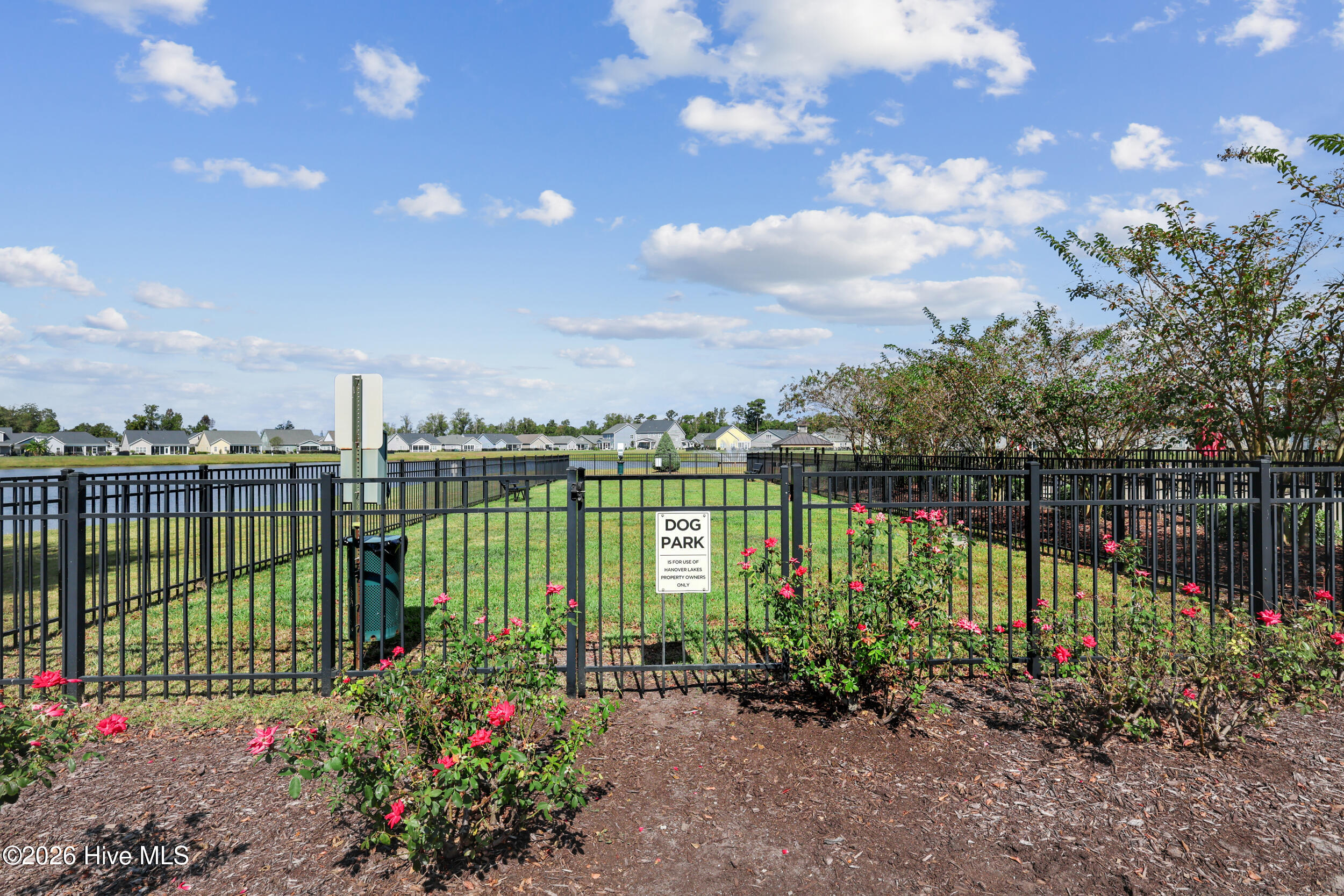 100559521 | Photo 29