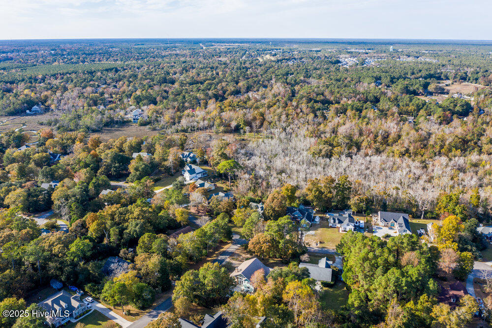 100542503 | Photo 62