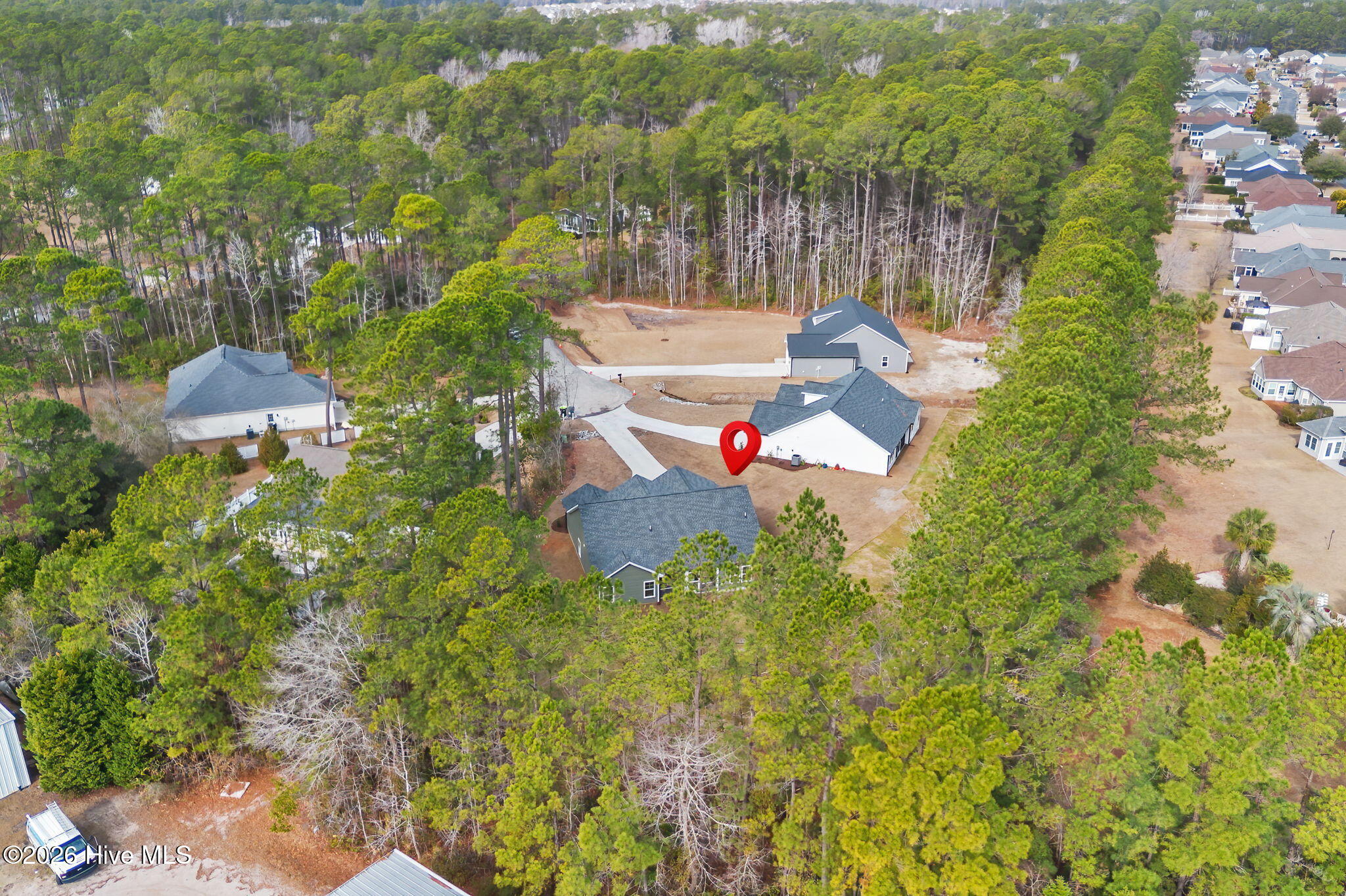 100513305 | Photo 46