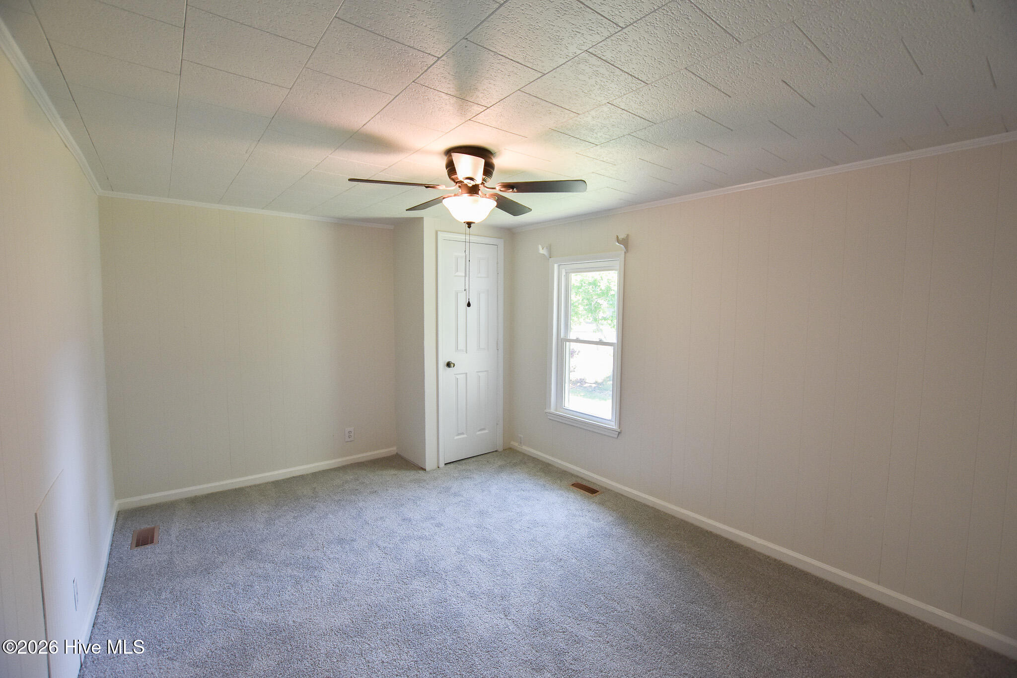 100568599 | Photo 10