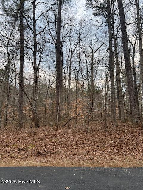 306 Cypress Drive, Edenton, NC, 27932
