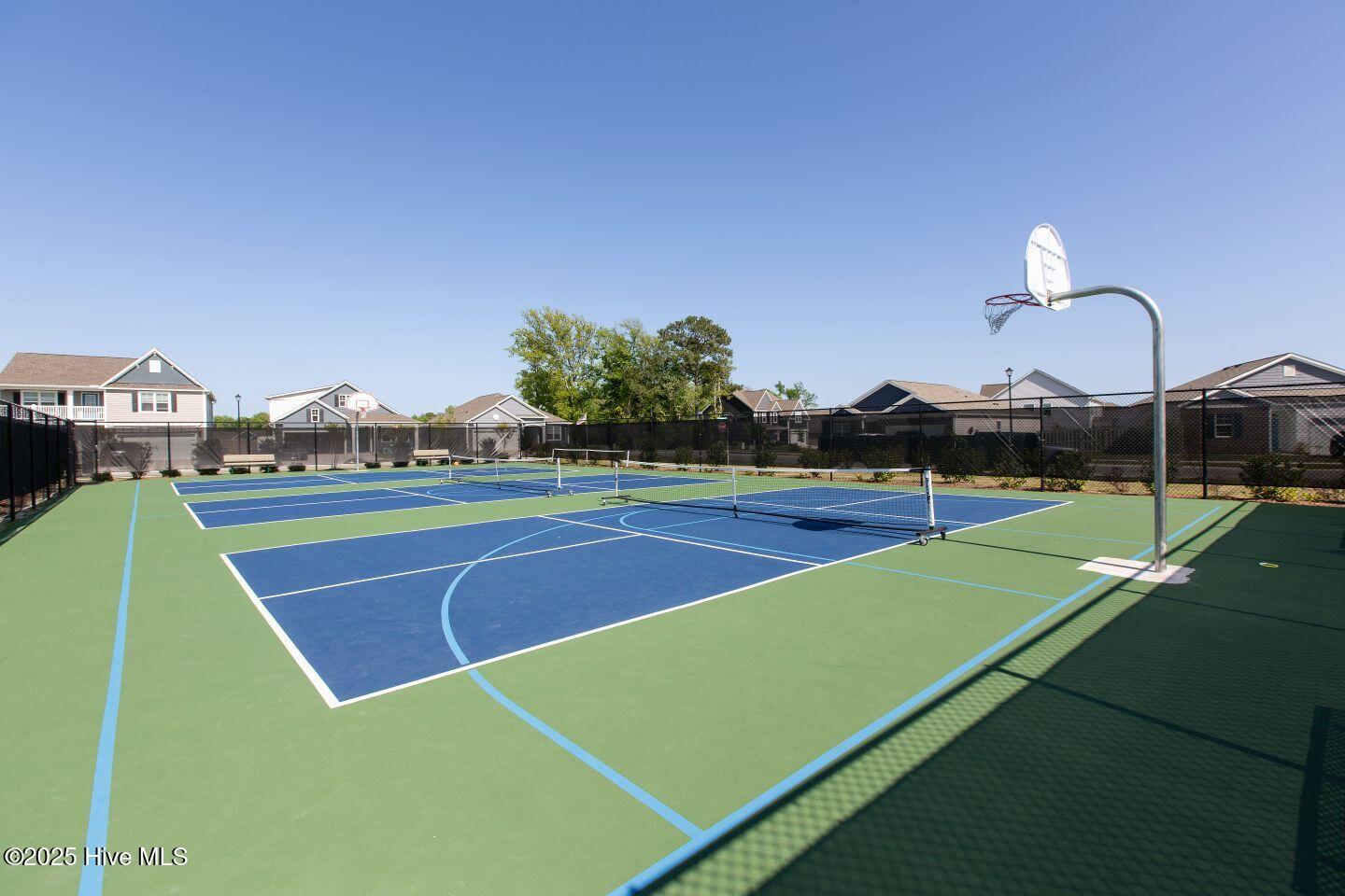 100486476 | Photo 35