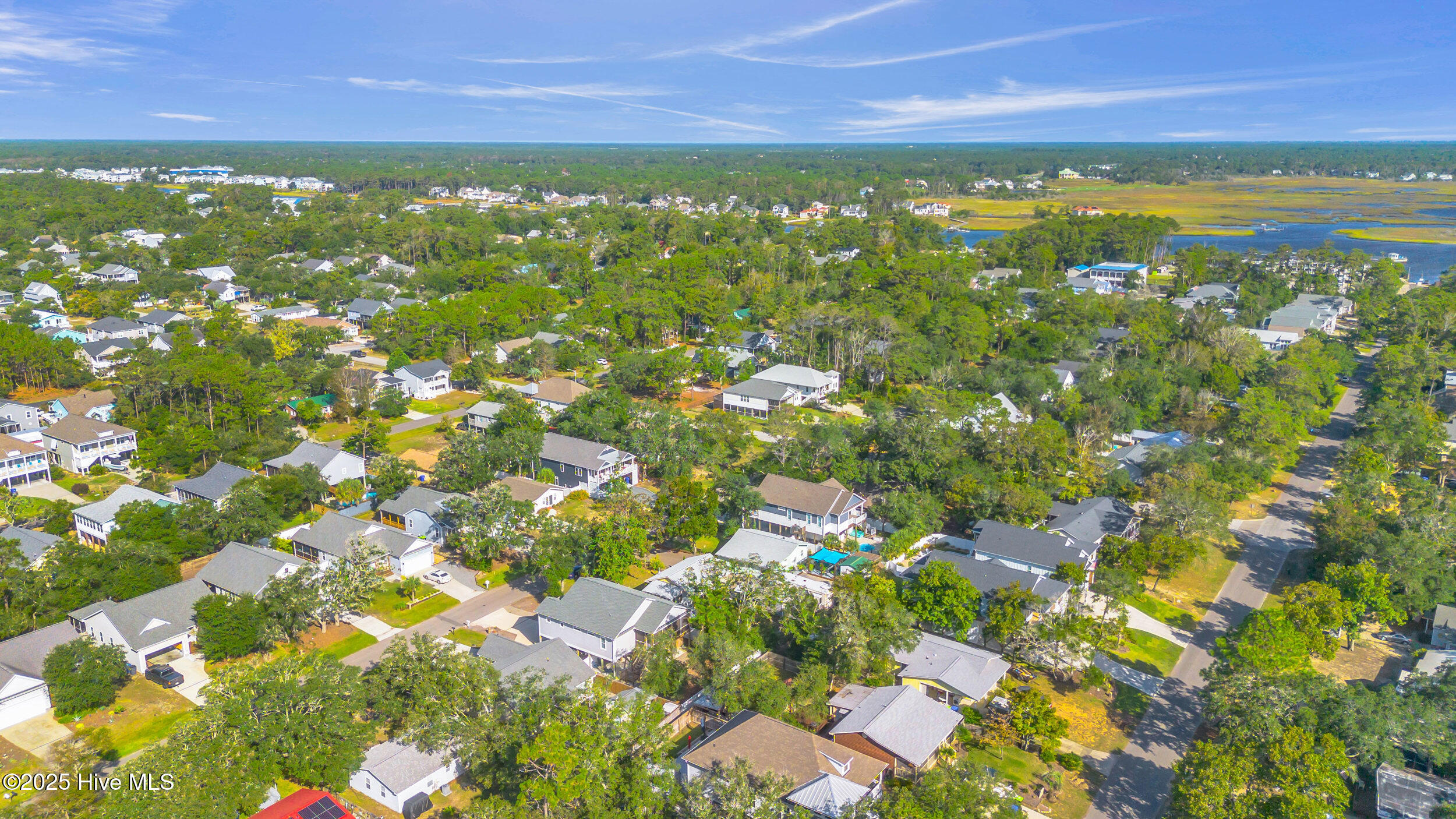 100534529 | Photo 59