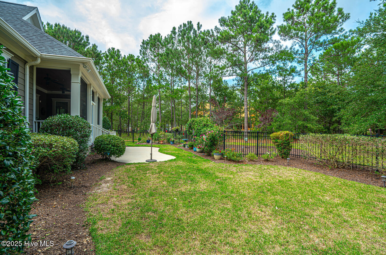 100566478 | Photo 60