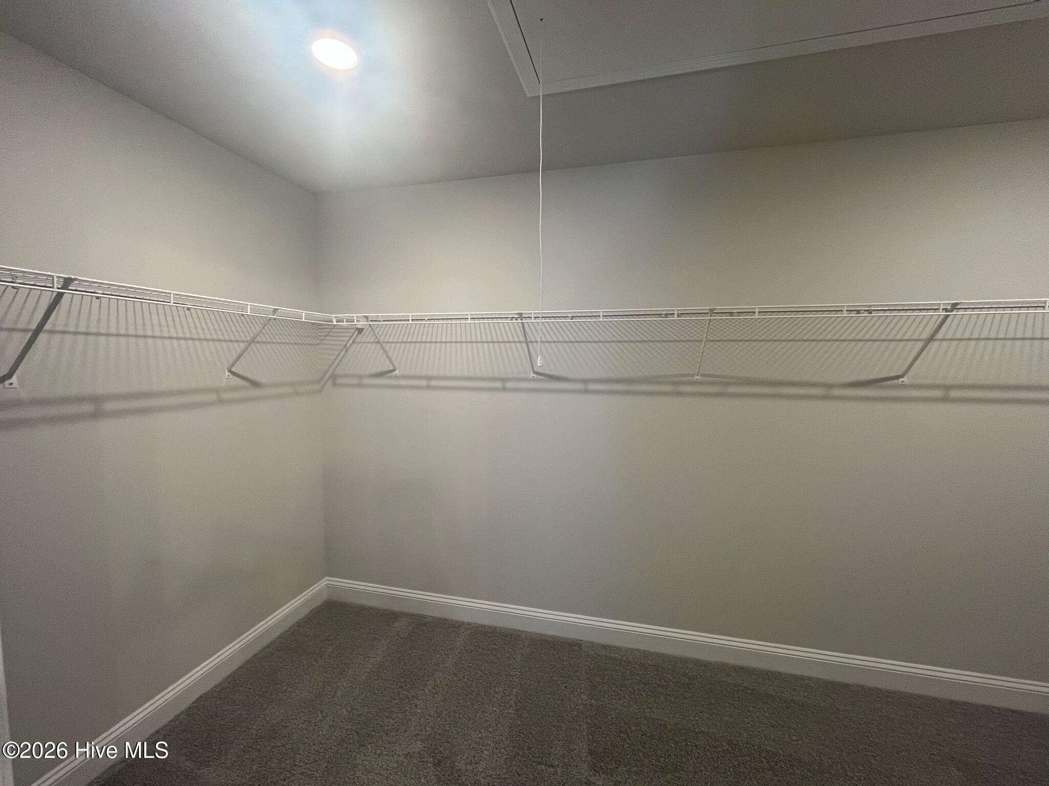 100558864 | Photo 27