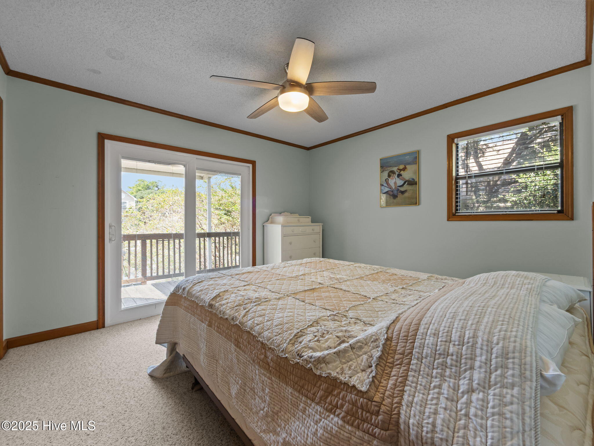 100533073 | Photo 30