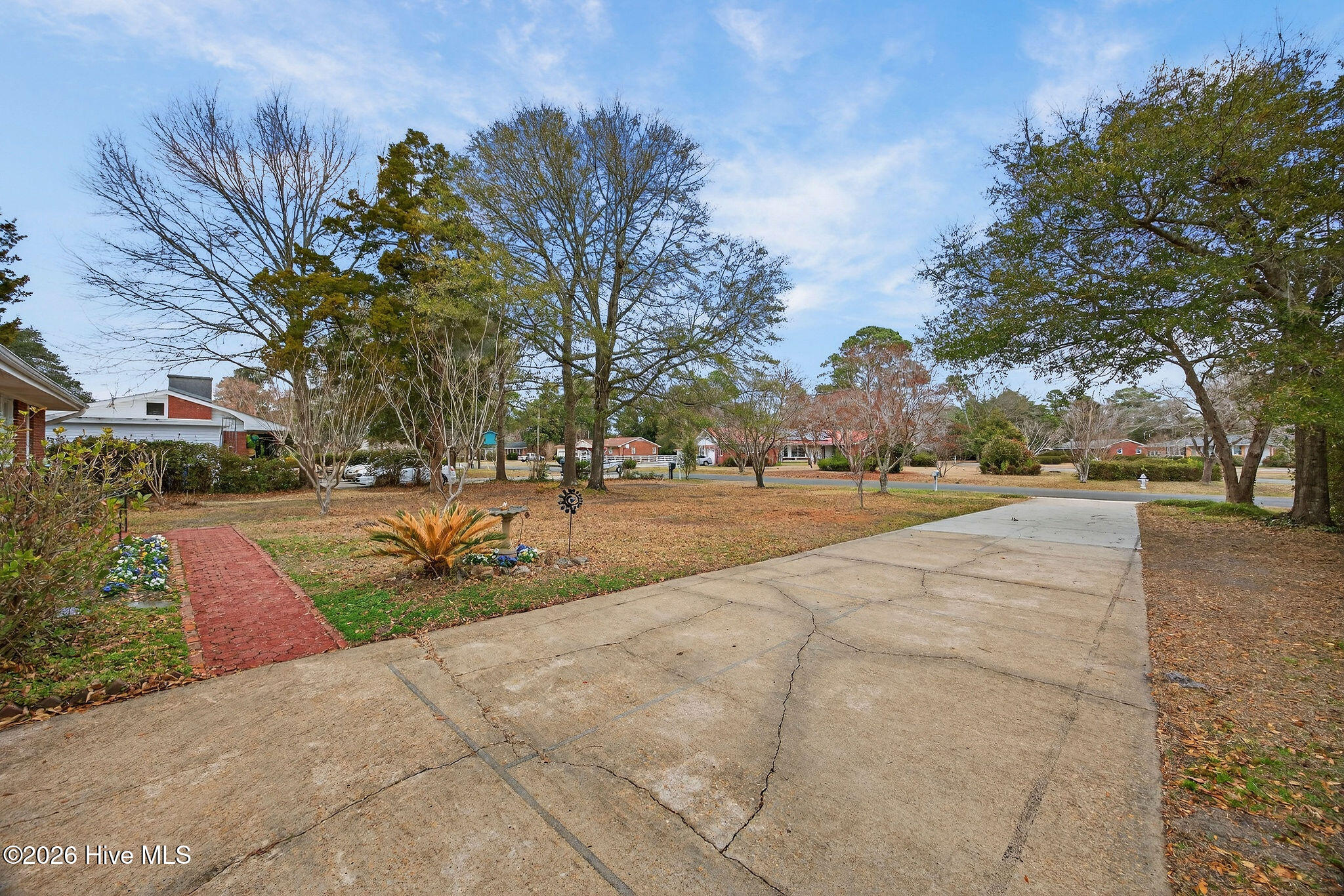 100557140 | Photo 50