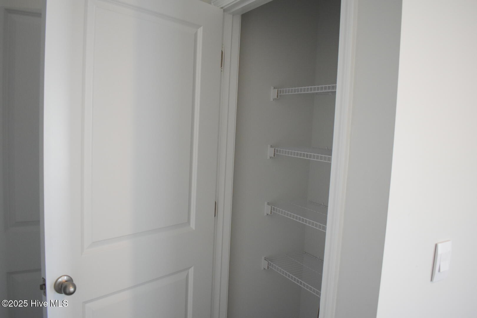 100535497 | Photo 19