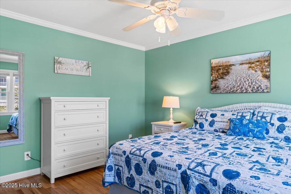 100513648 | Photo 39