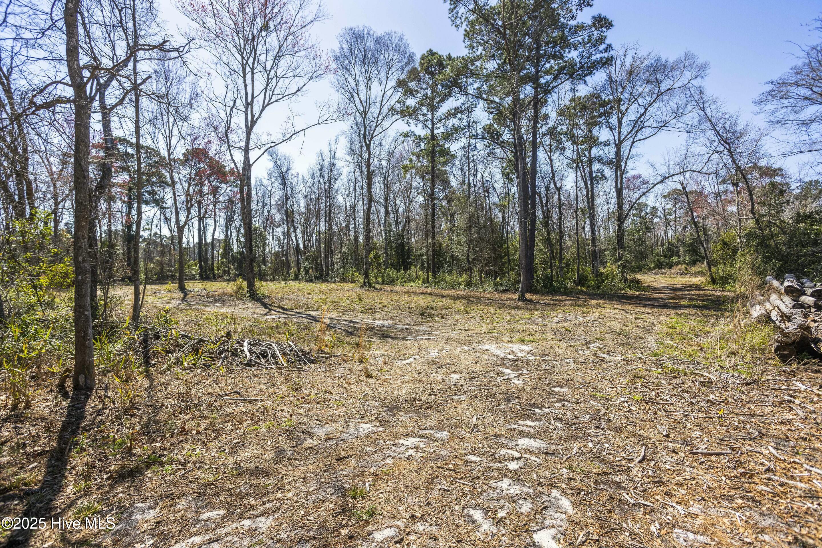 100495483 | Photo 20