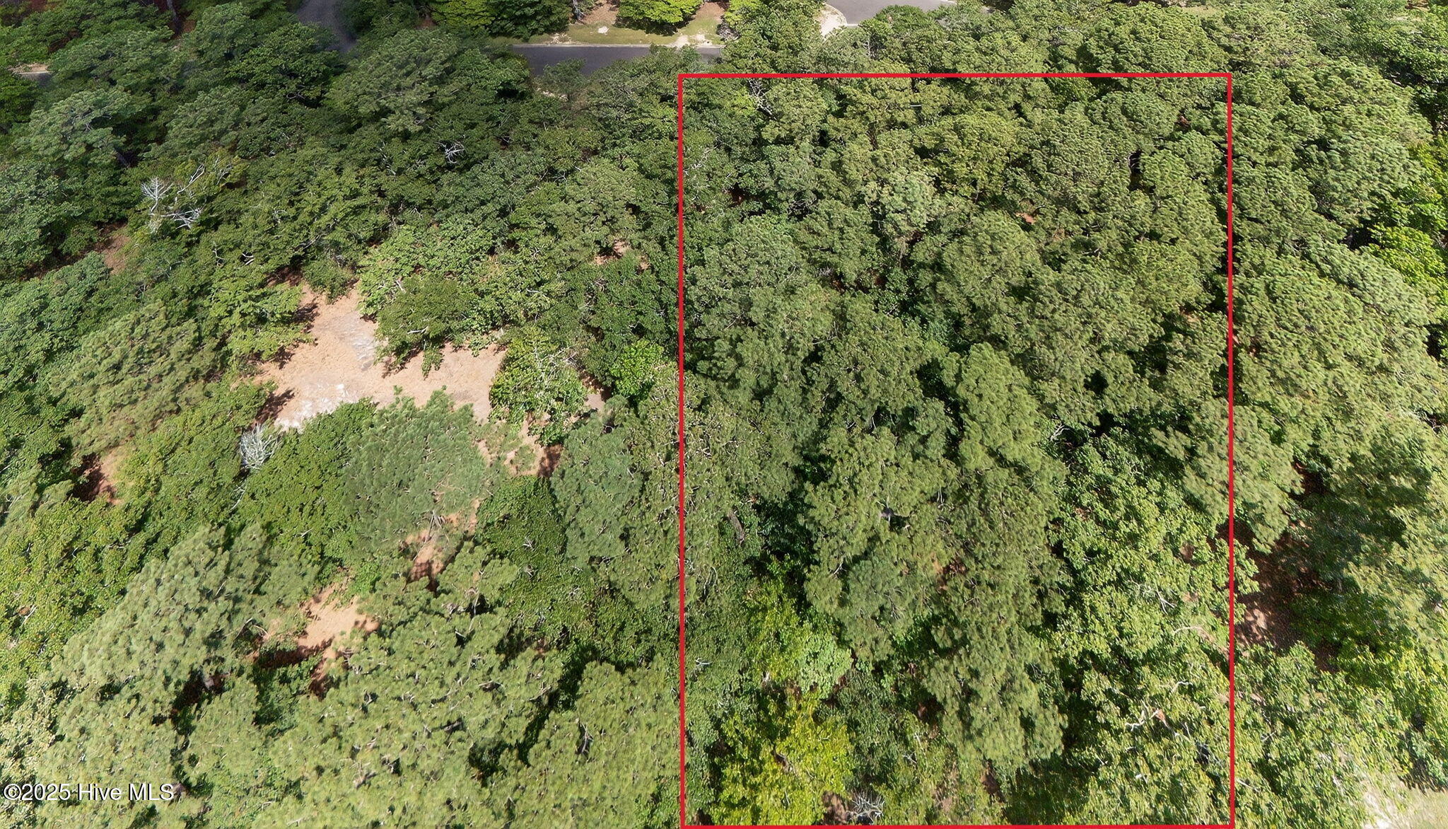 100519533 | Photo 26