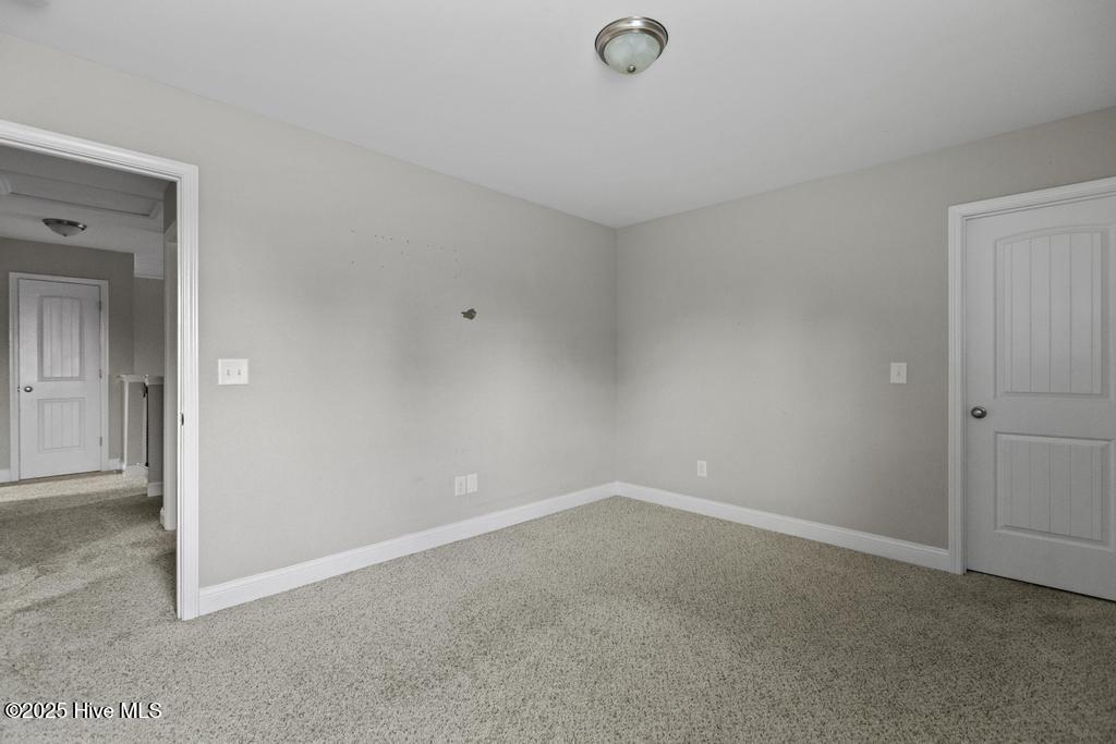 100553771 | Photo 14