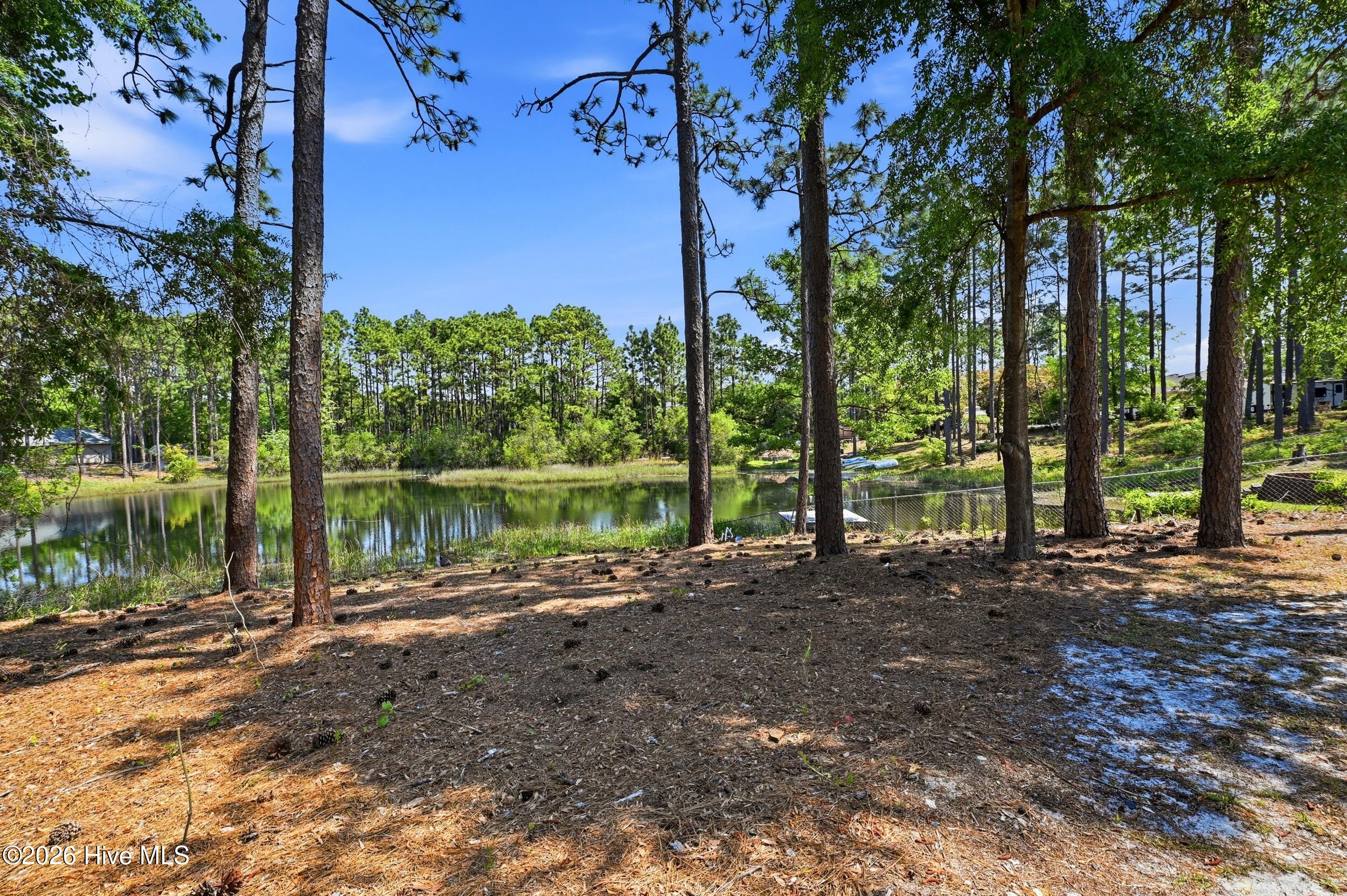 100561459 | Photo 30