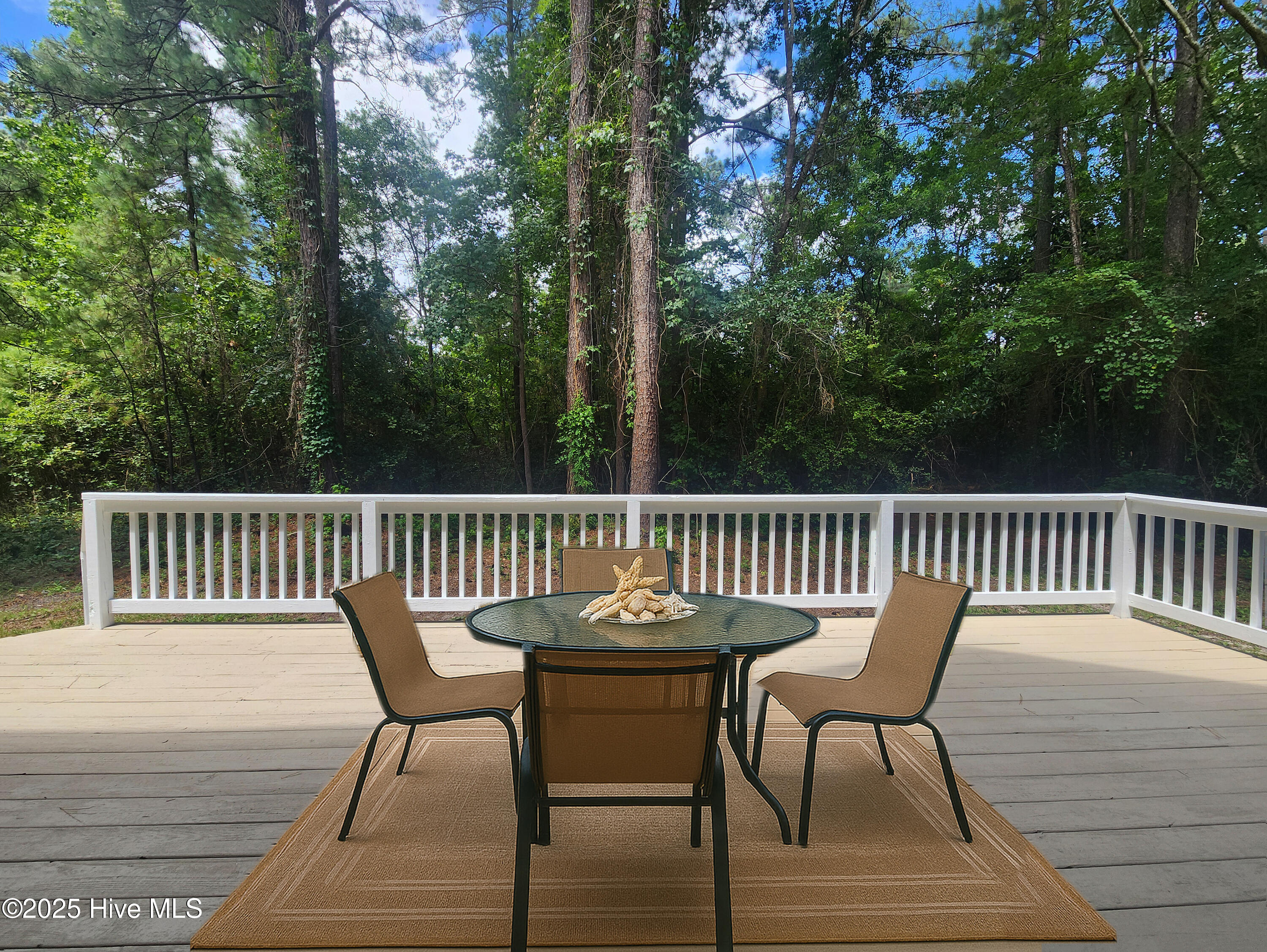 100517489 | Photo 58