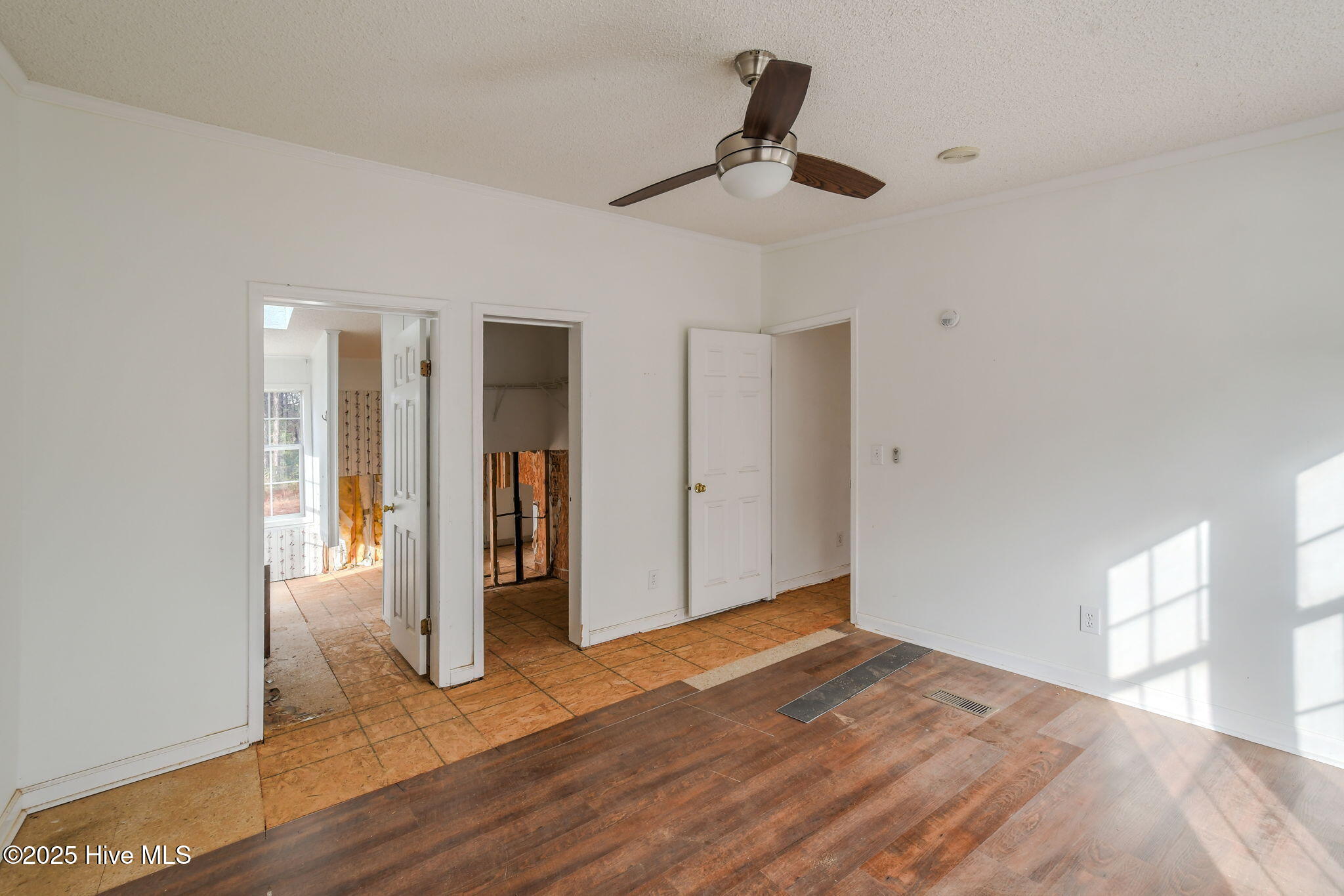 100545513 | Photo 15