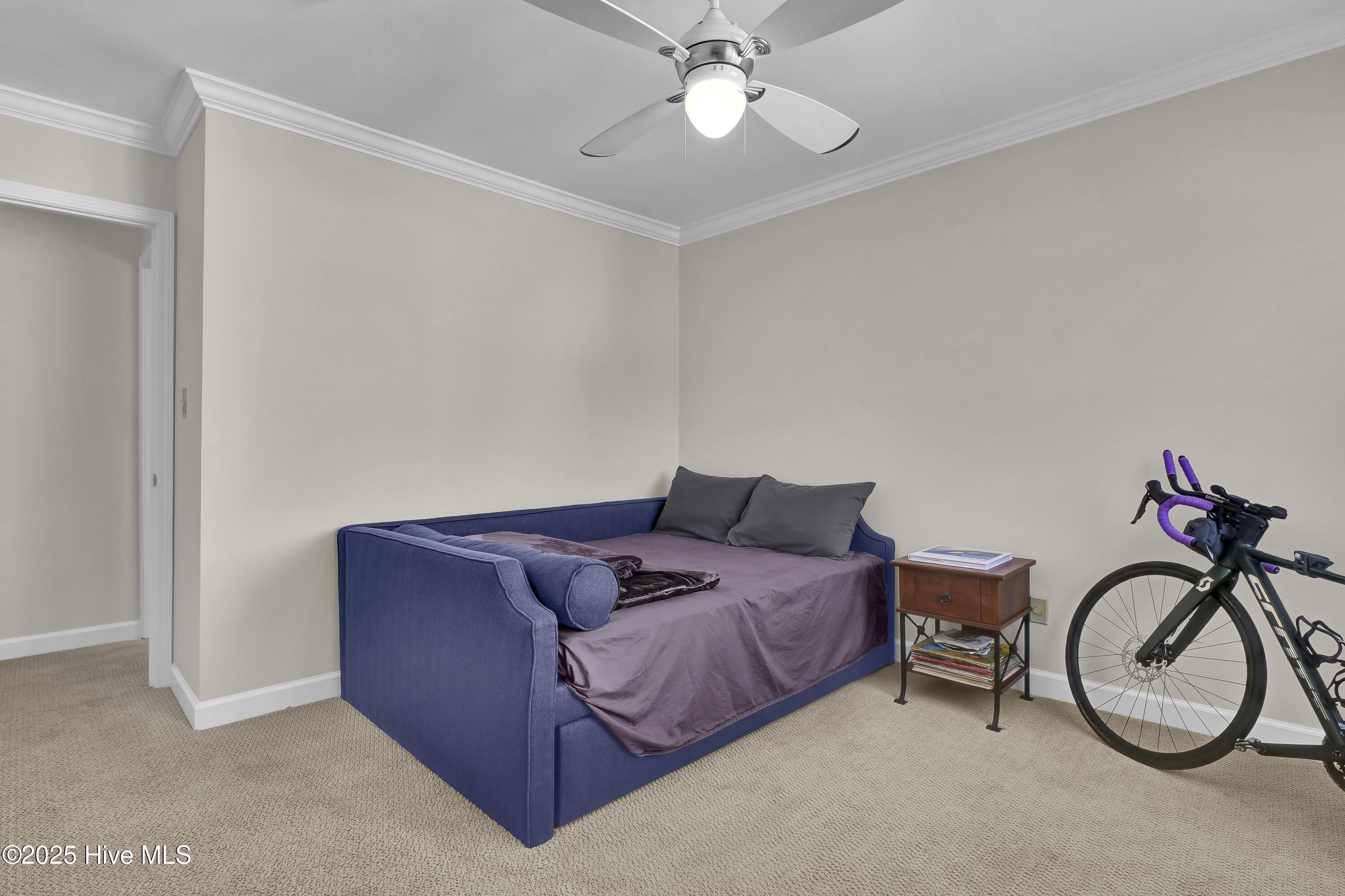 100532571 | Photo 29