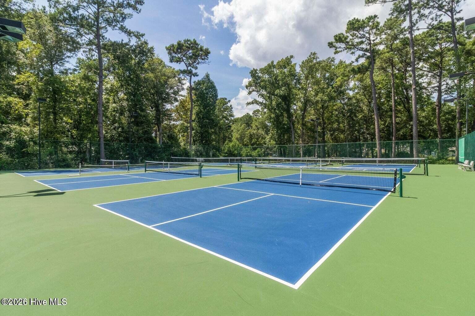 100550366 | Photo 42