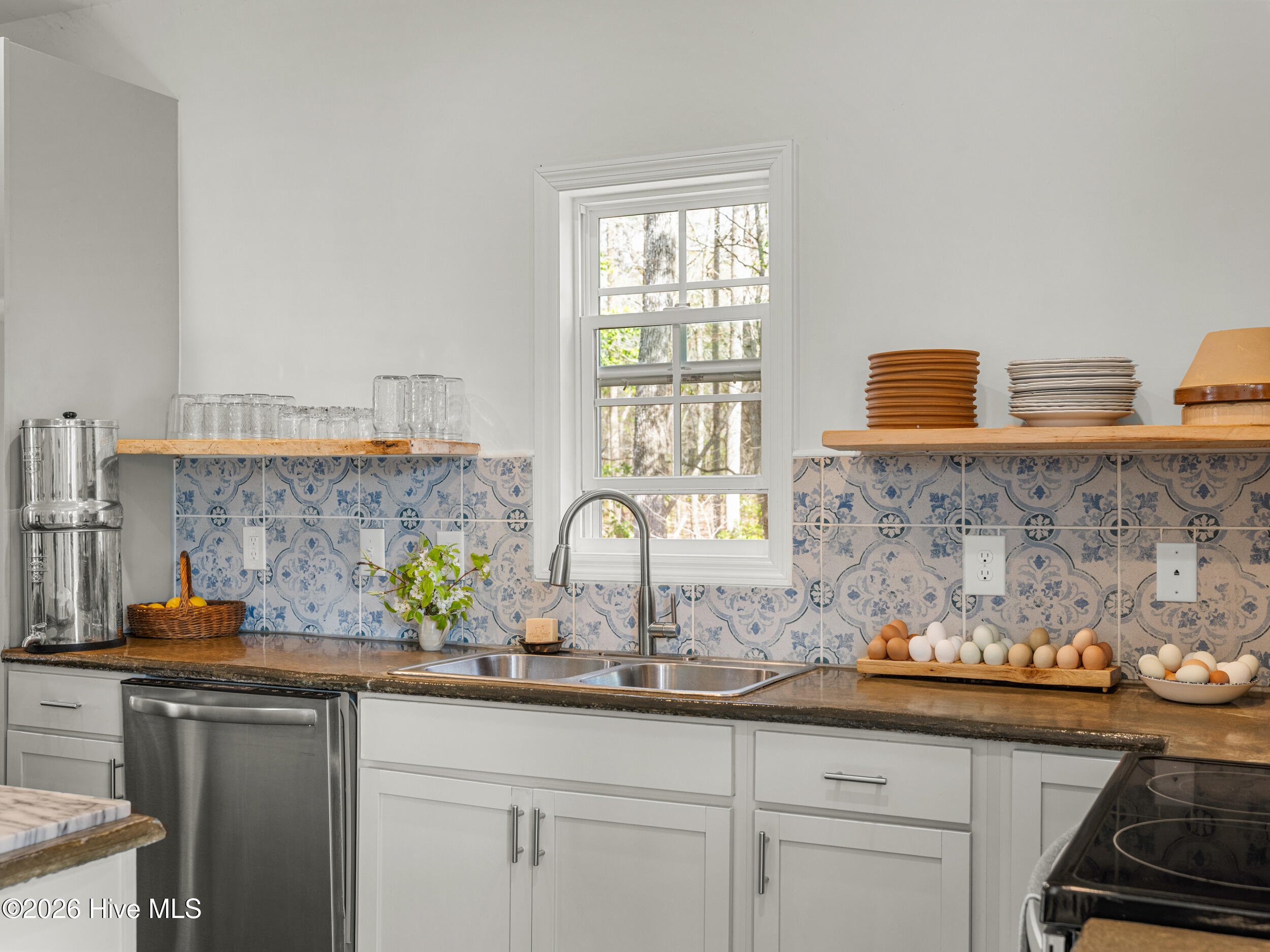 100558735 | Photo 19