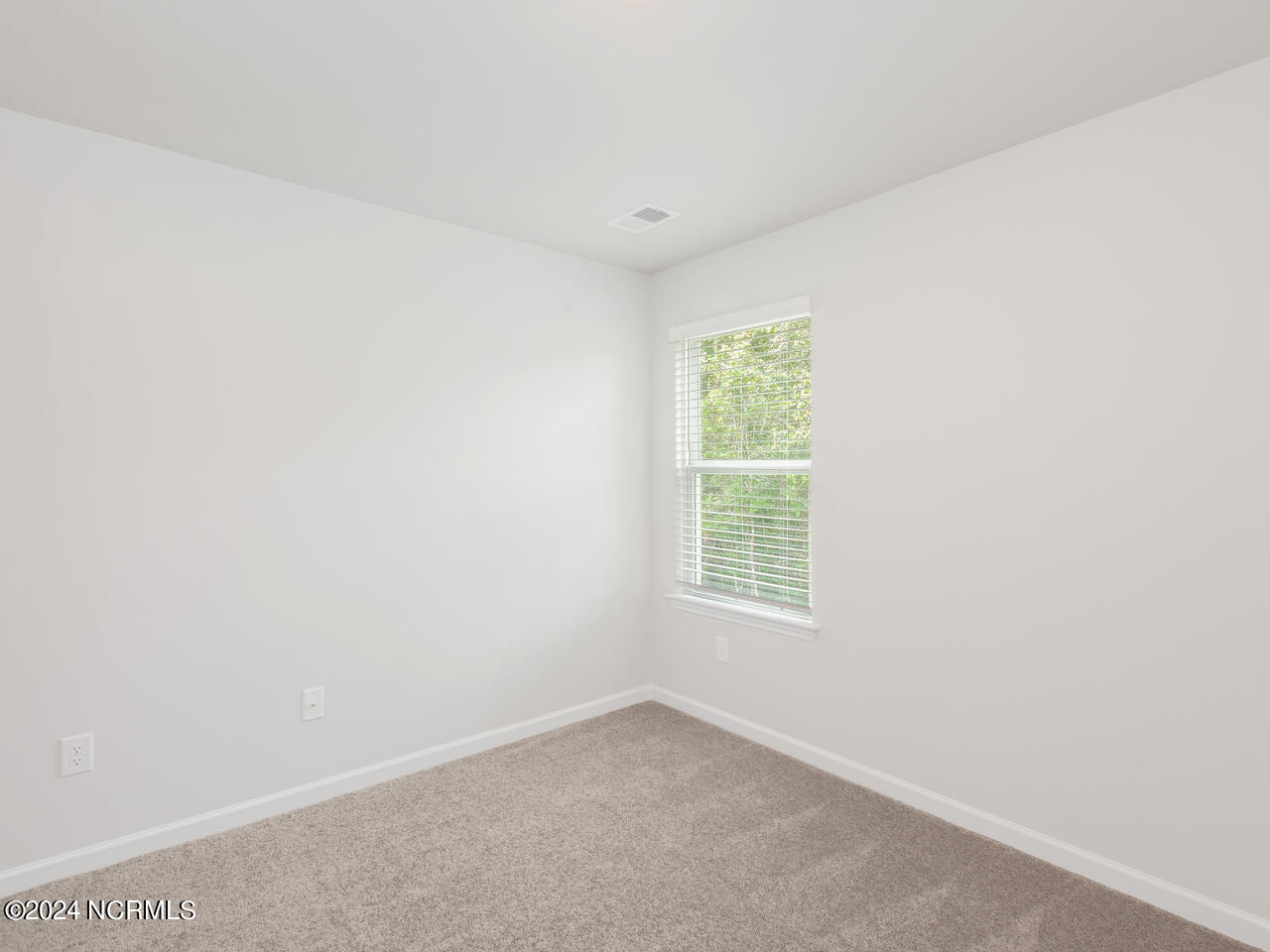 100533675 | Photo 20