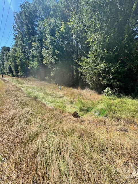 0 Hwy 17 S, Richmond Hill, GA, 31324