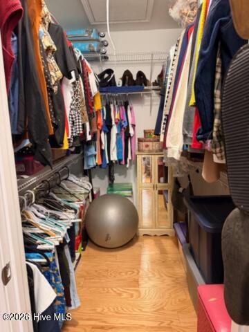 100567127 | Photo 14