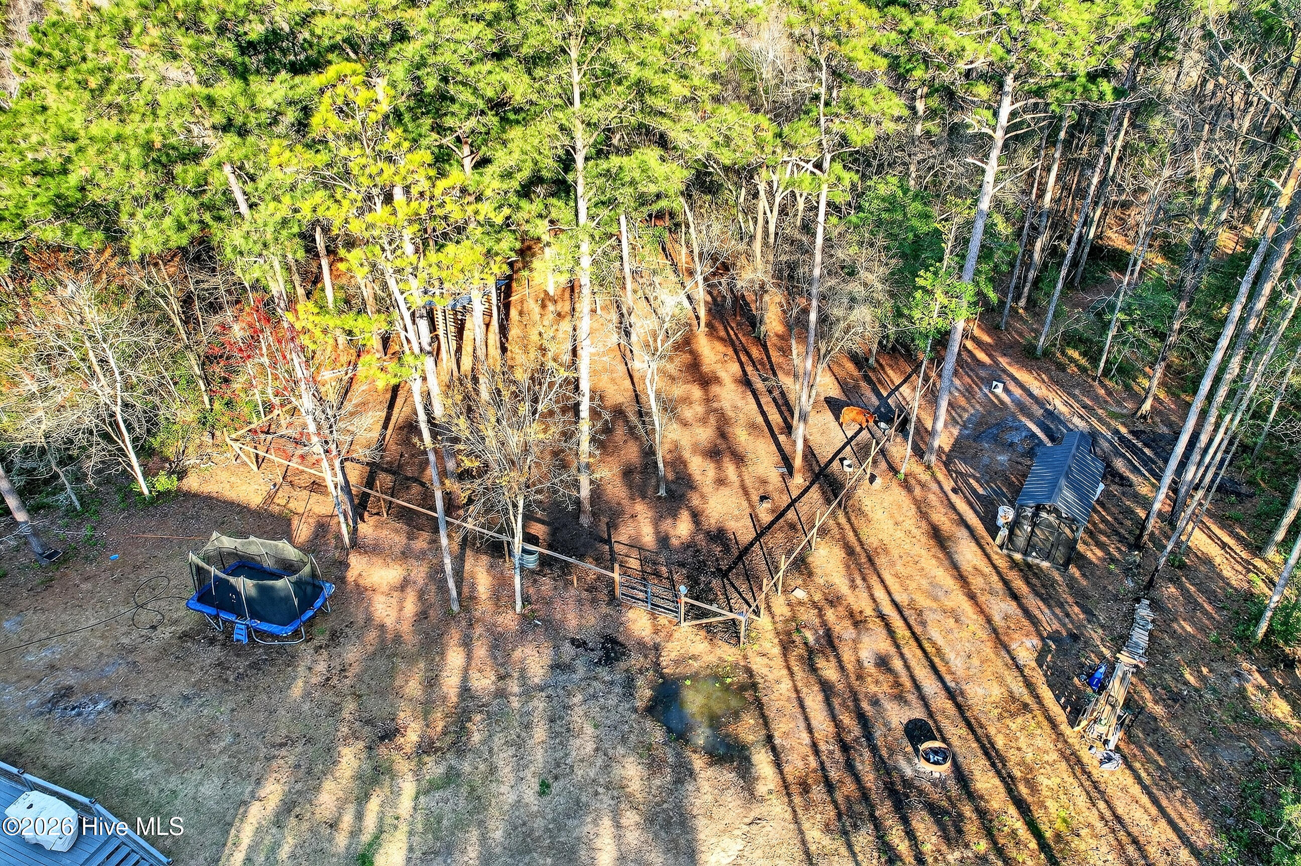 100559126 | Photo 51