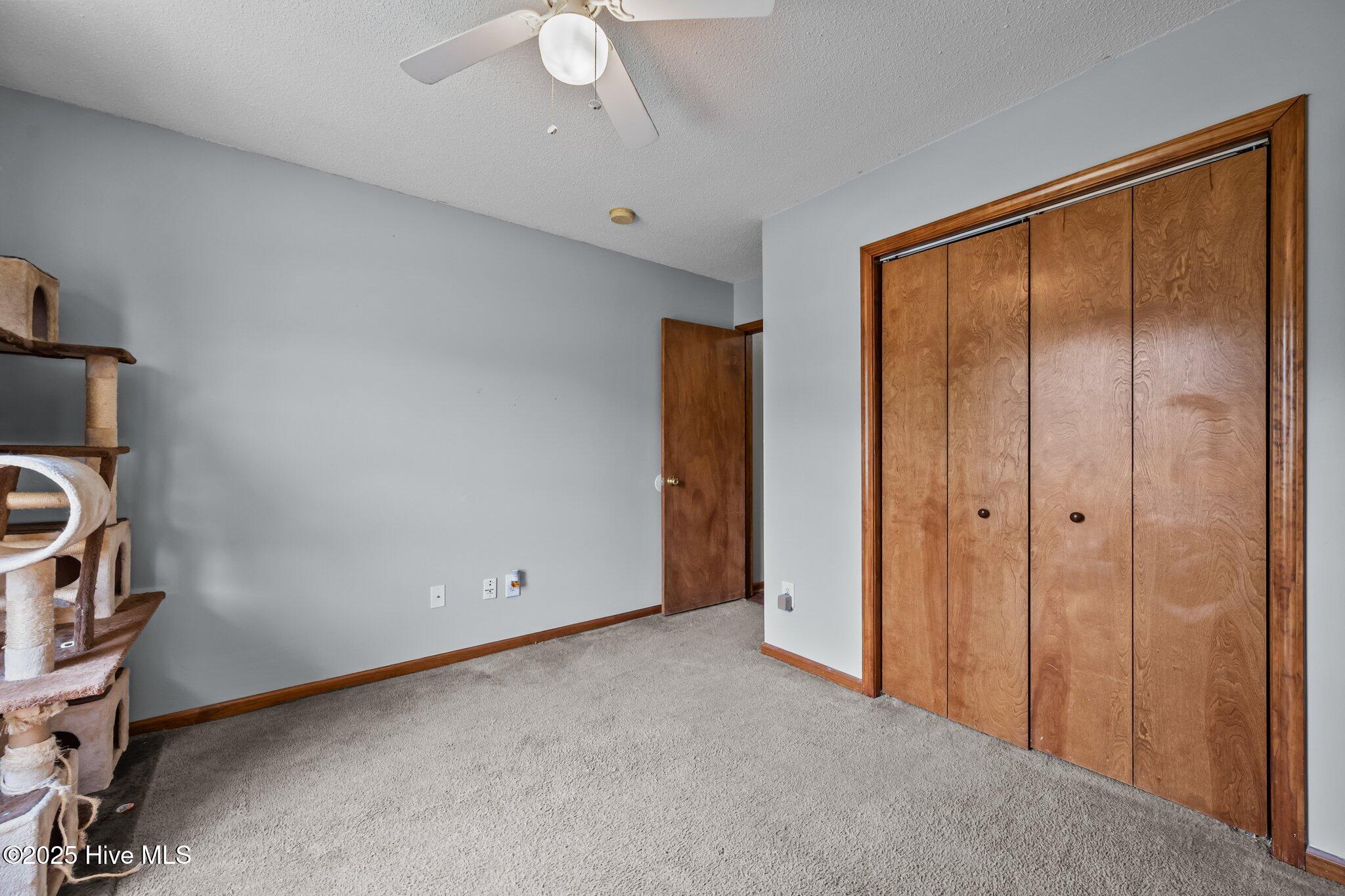 100533618 | Photo 20