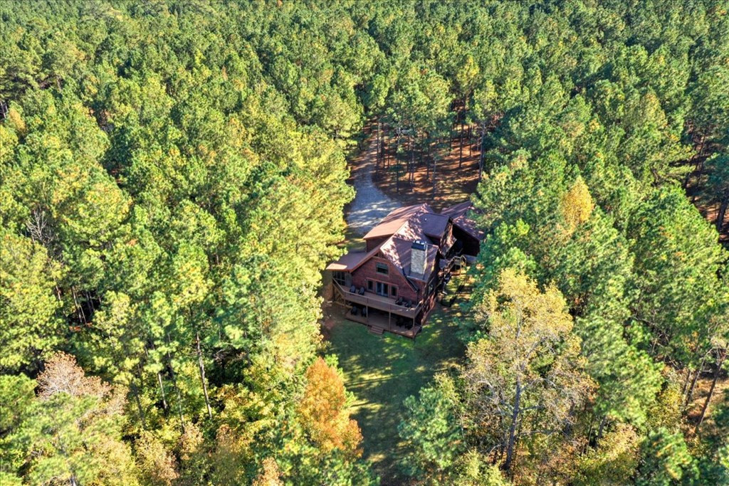 1147 Maiden Cane Way, Lincolnton, GA 30817 Listing Photo  8
