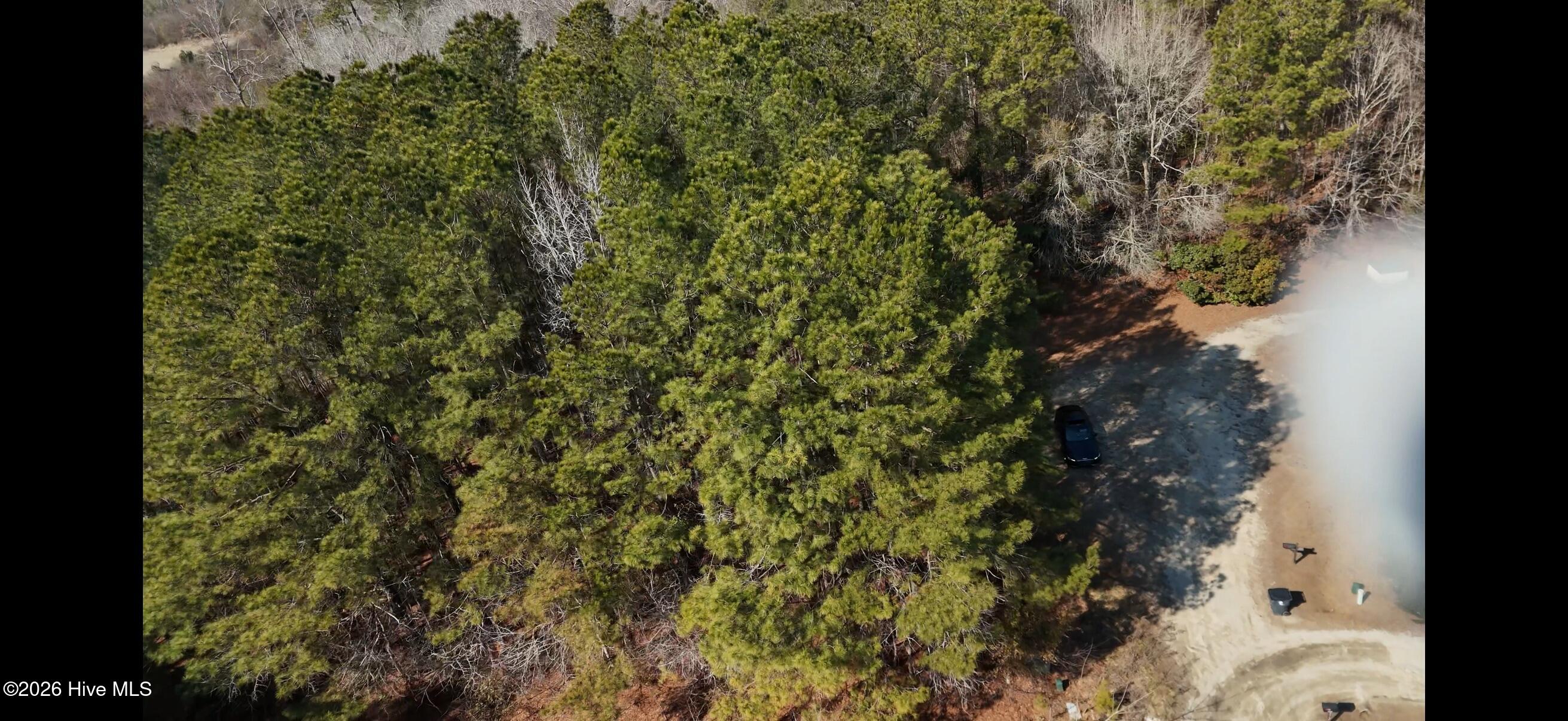 100554571 | Photo 19