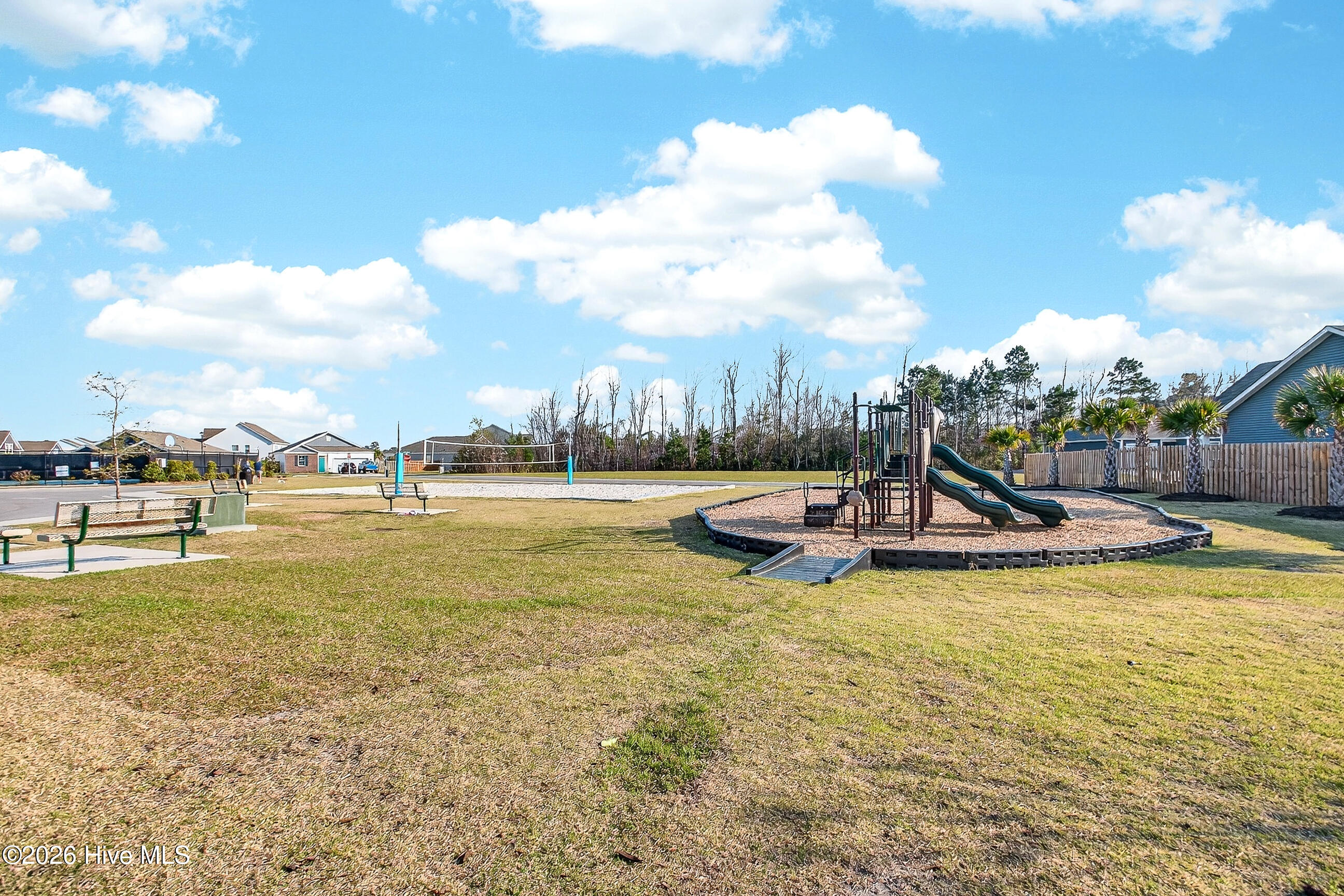 100562983 | Photo 42