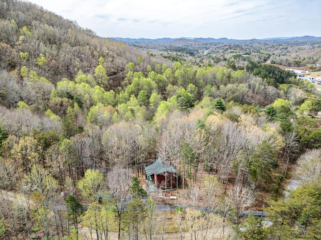 115 New Castle Road, Murphy, NC 28906 Listing Photo  38