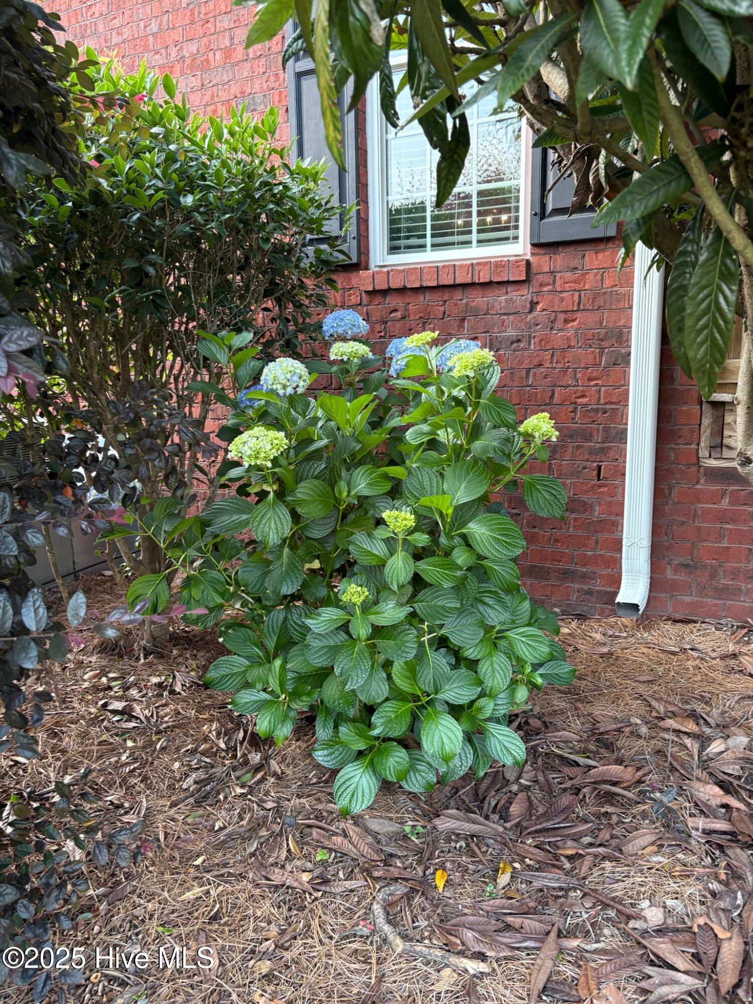 100518479 | Photo 52