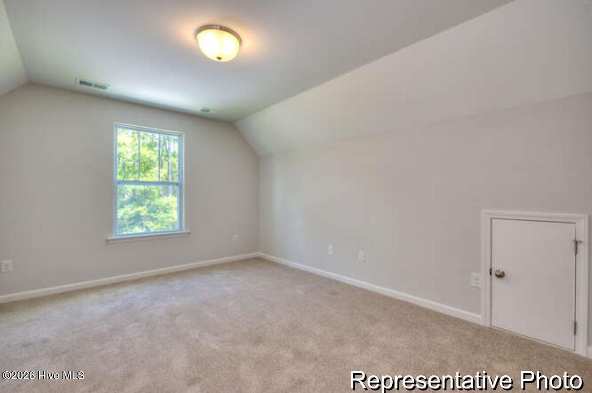 100555461 | Photo 23