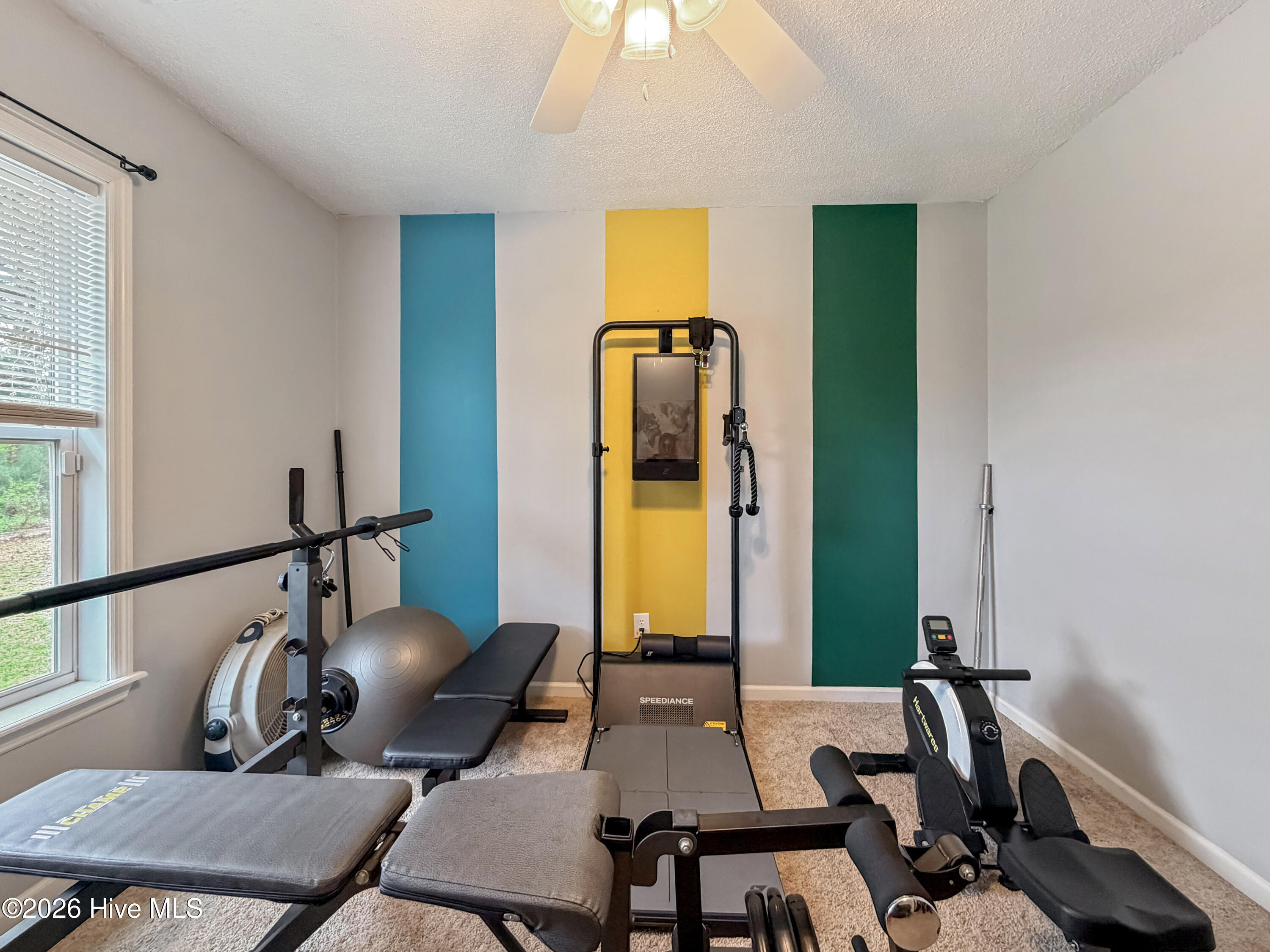 100564725 | Photo 25