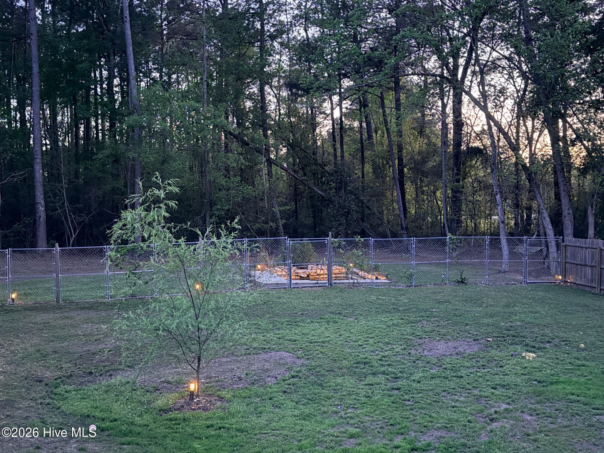 100565129 | Photo 96