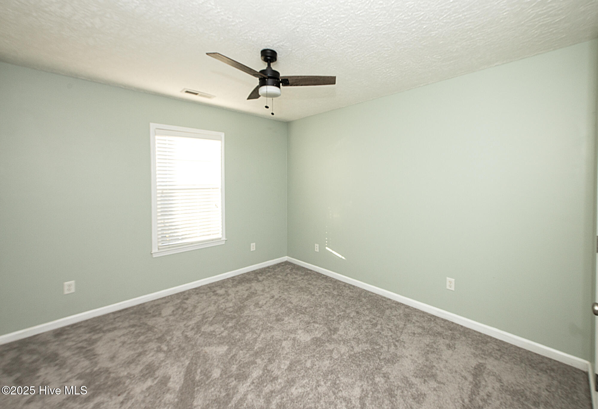 100541598 | Photo 18