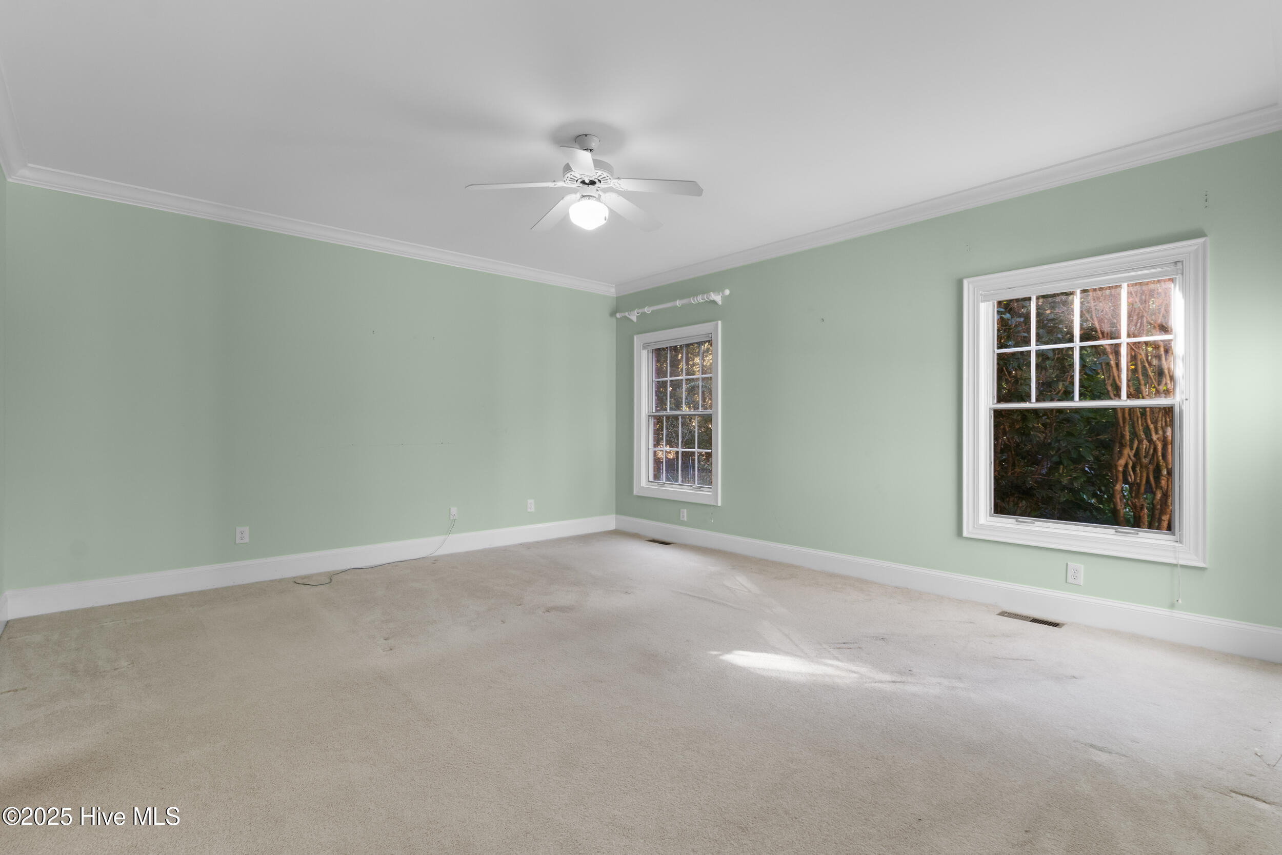 100516126 | Photo 21