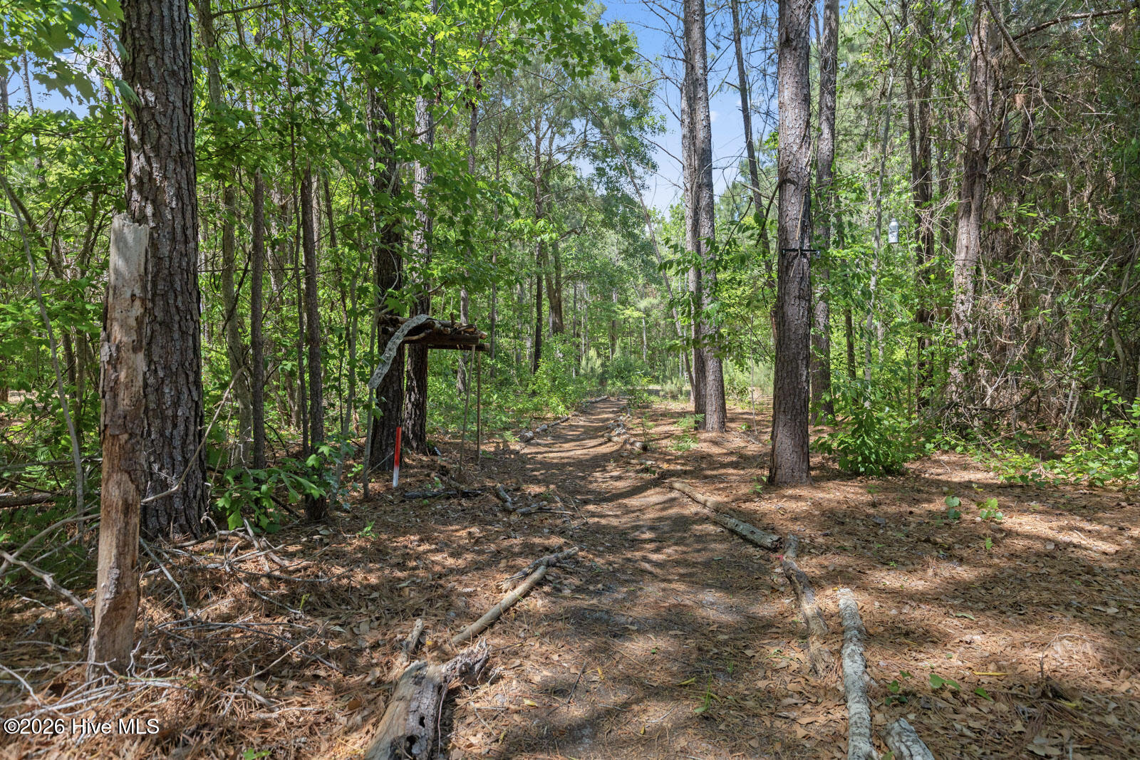 100568558 | Photo 31