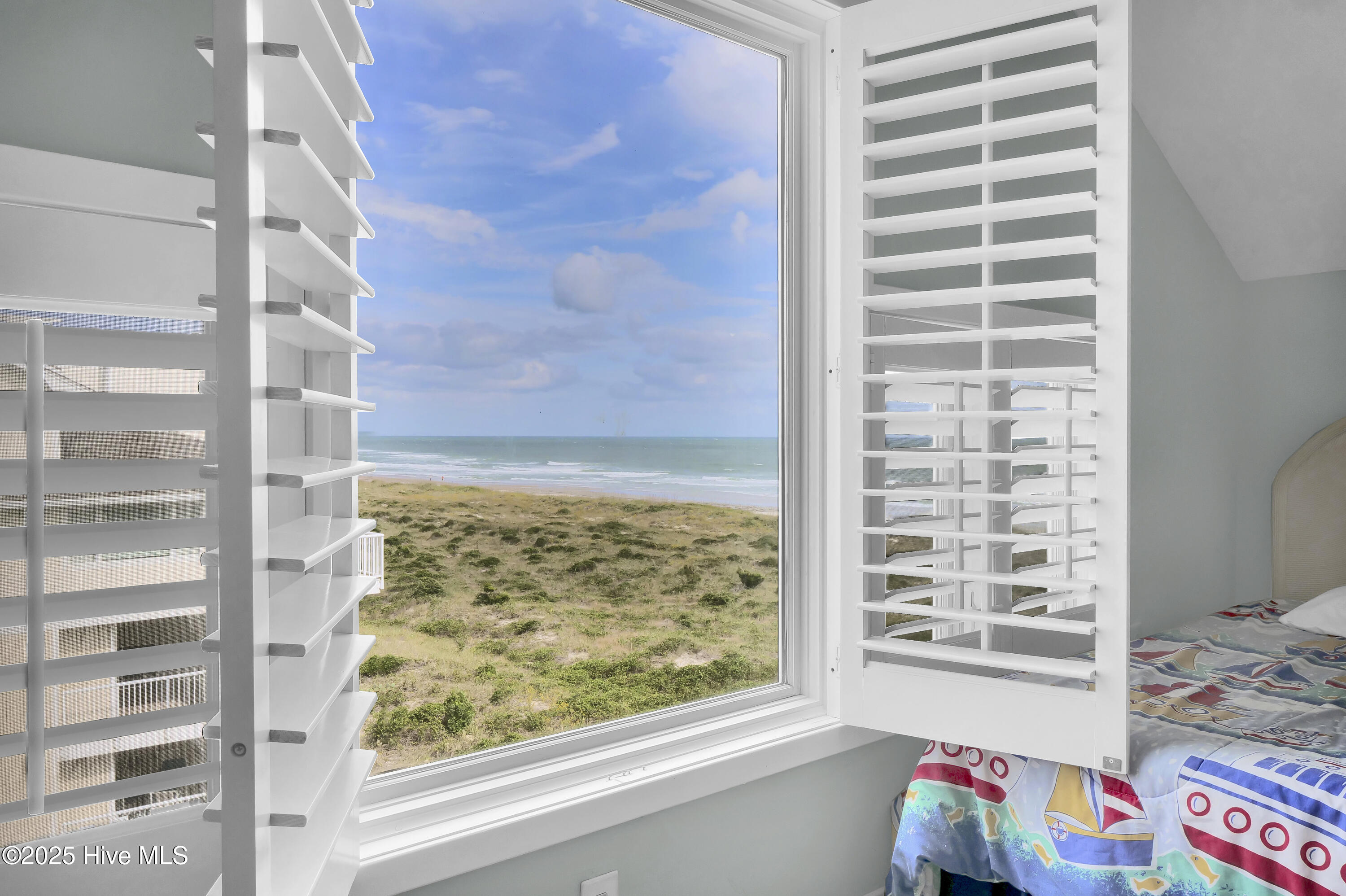 100535604 | Photo 49