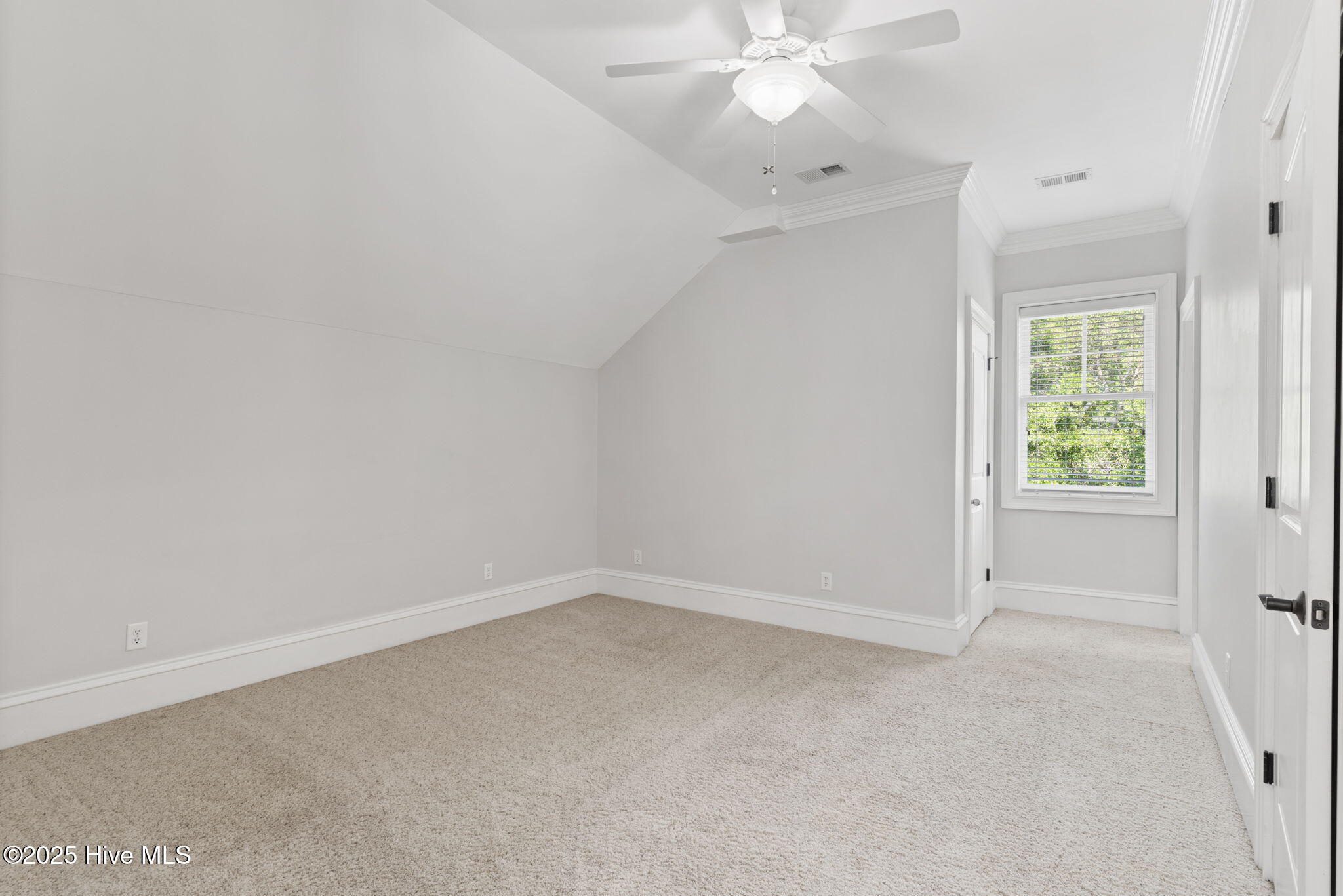 100512246 | Photo 45