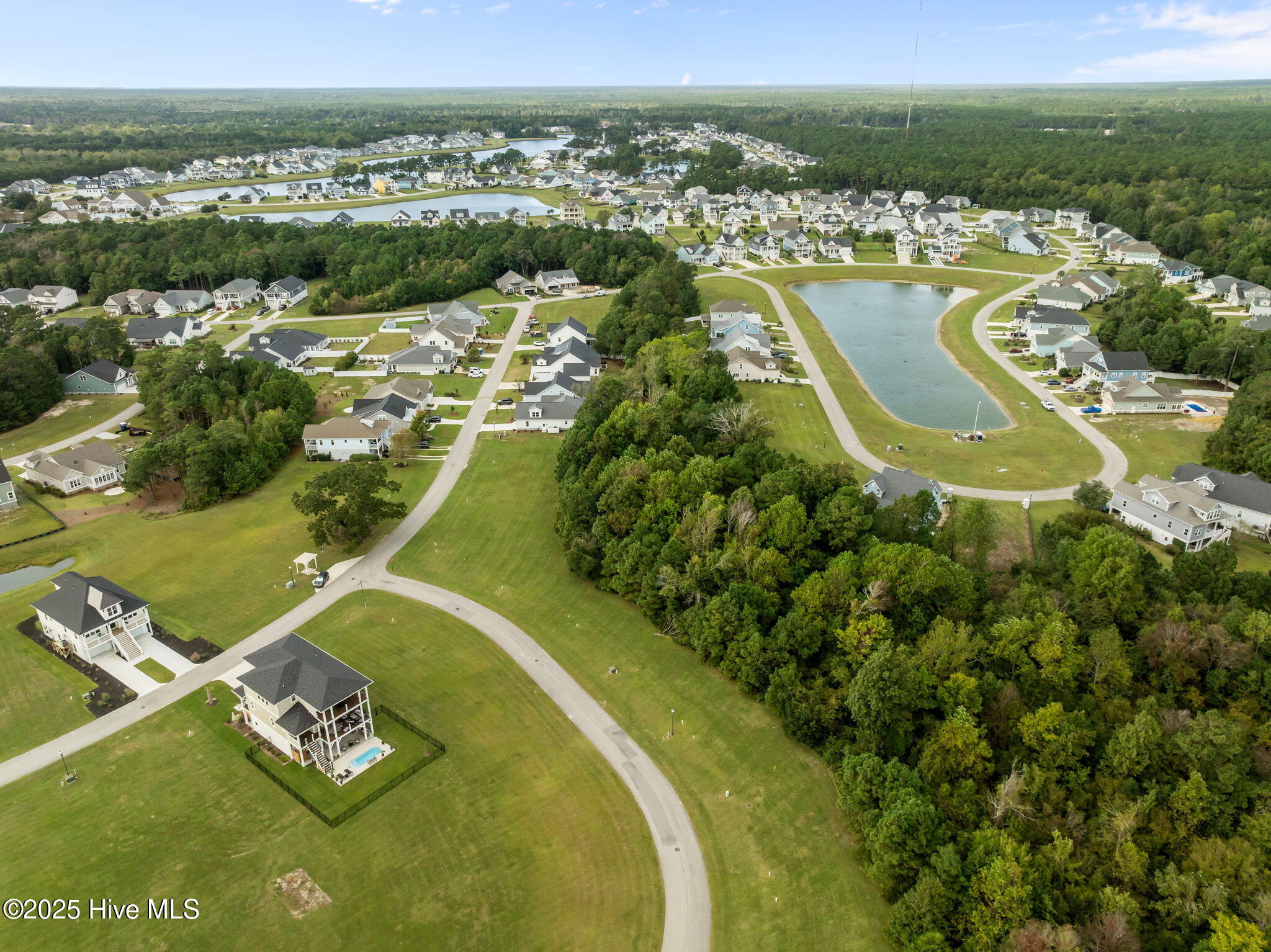 100564274 | Photo 11