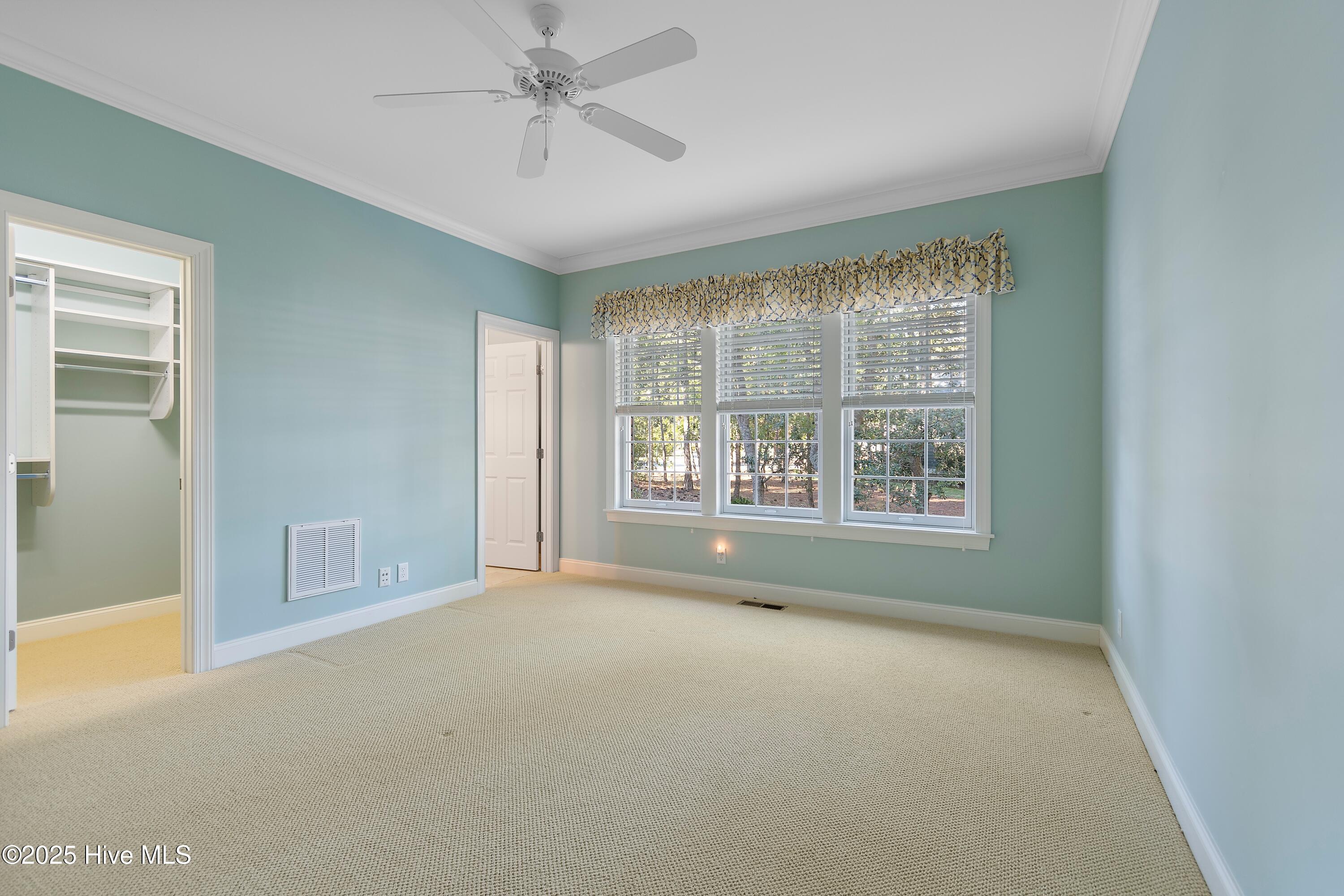 100537918 | Photo 24