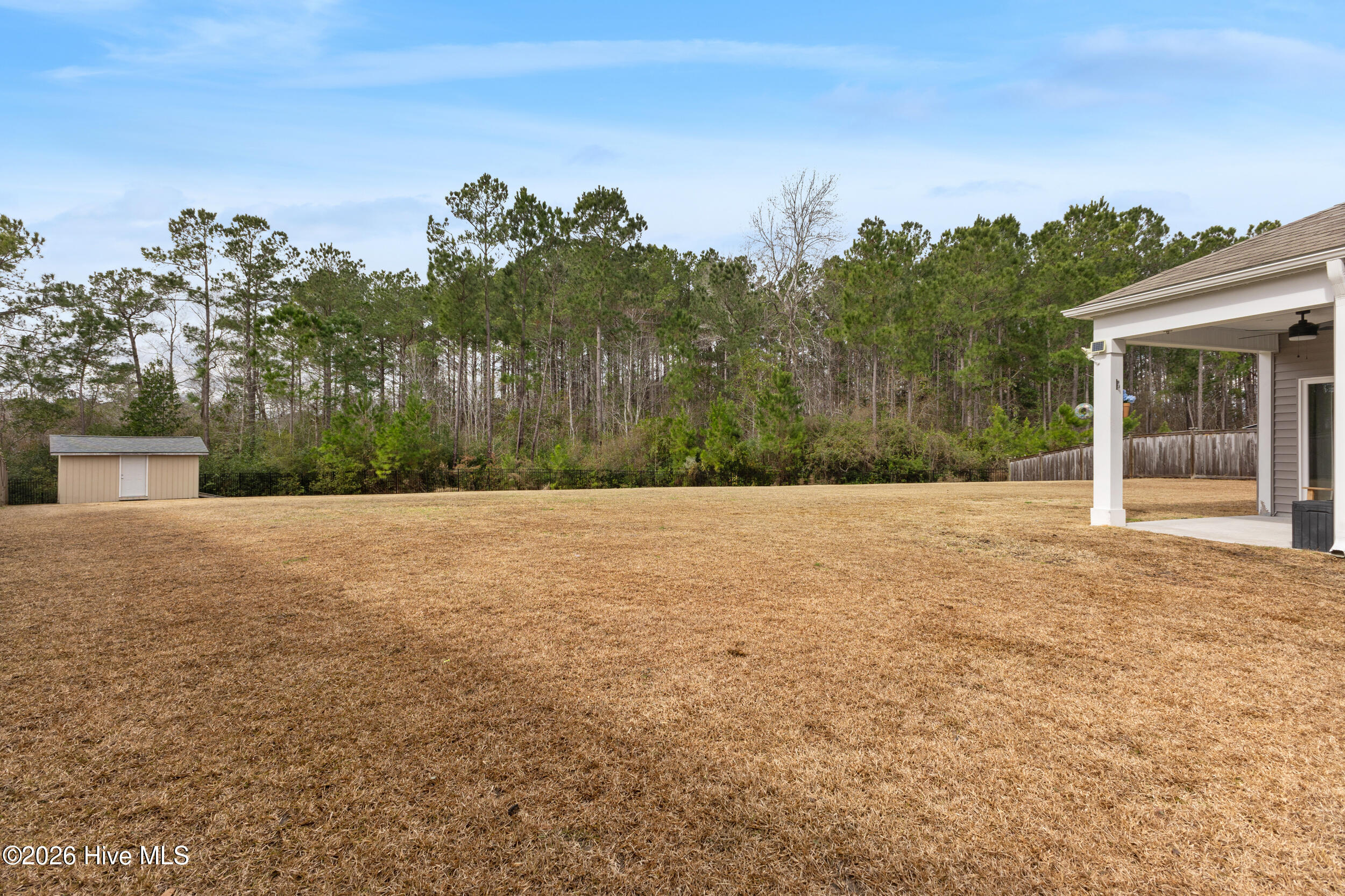 100555223 | Photo 28