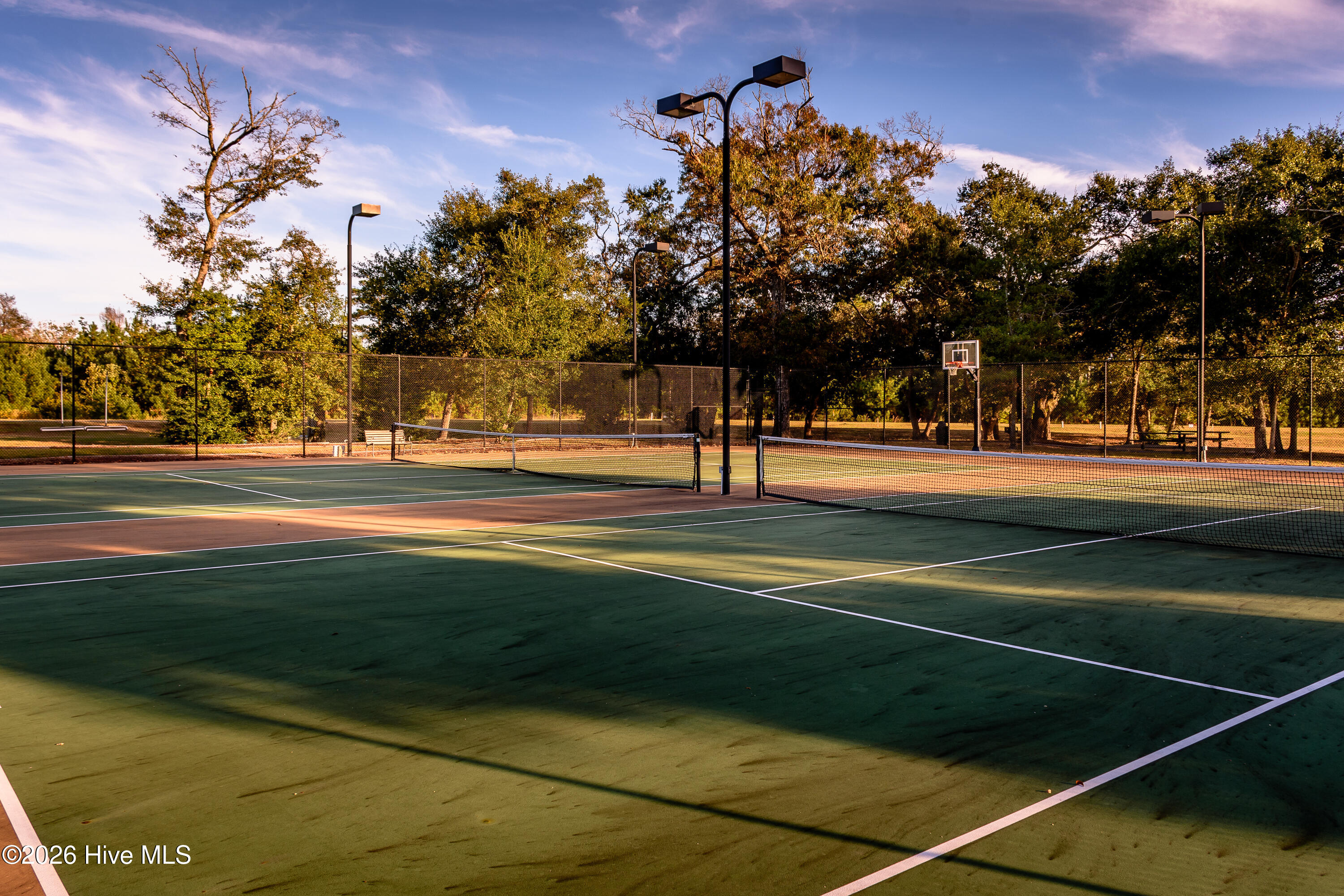 100556932 | Photo 55