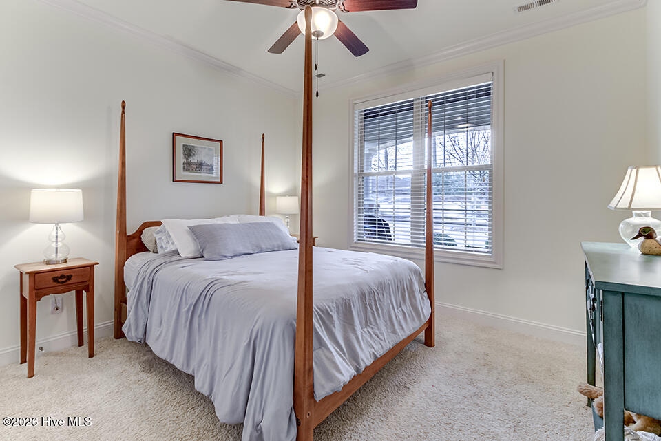 100548216 | Photo 25